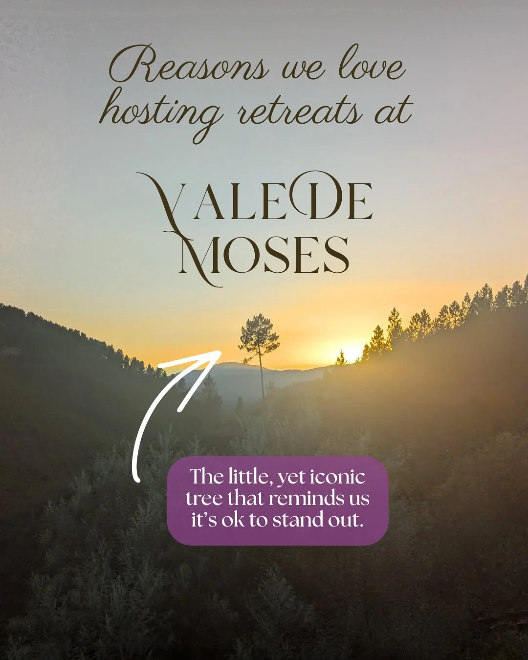 Are you feeling called to seek a deeper connection with yourself, your body, your voice and others?

Our next retreat at @valedemoses is the answer.

You&rsquo;re invited to COME ALIVE with us October 13th-18th. 

Join our hosts @meg_mccabe and @path