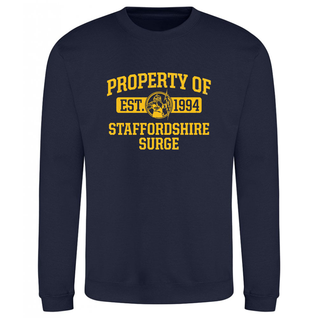 T-Shirt Examples-4 (7).png