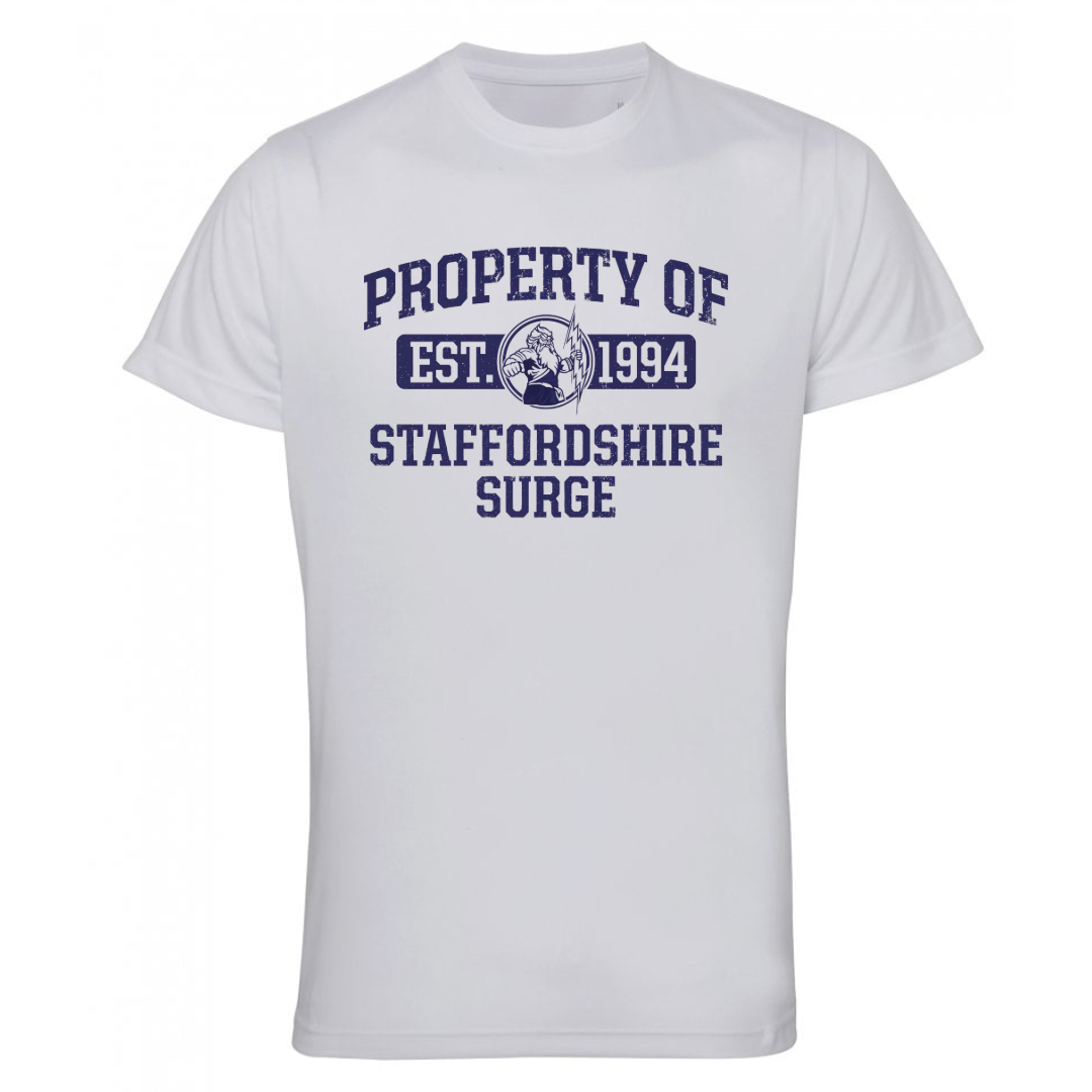 T-Shirt Examples-5 (3).png