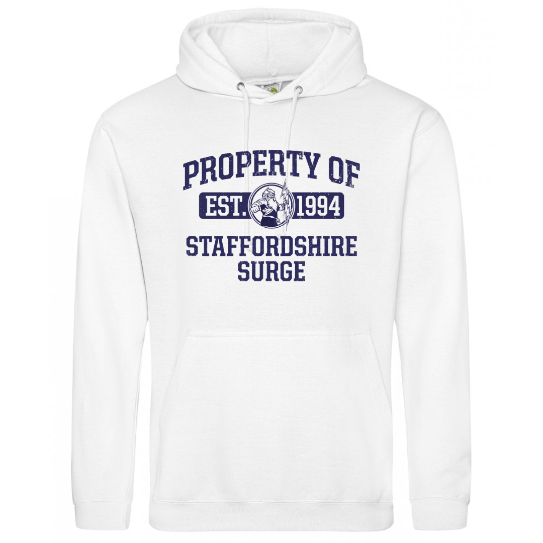 T-Shirt Examples-4 (12).png