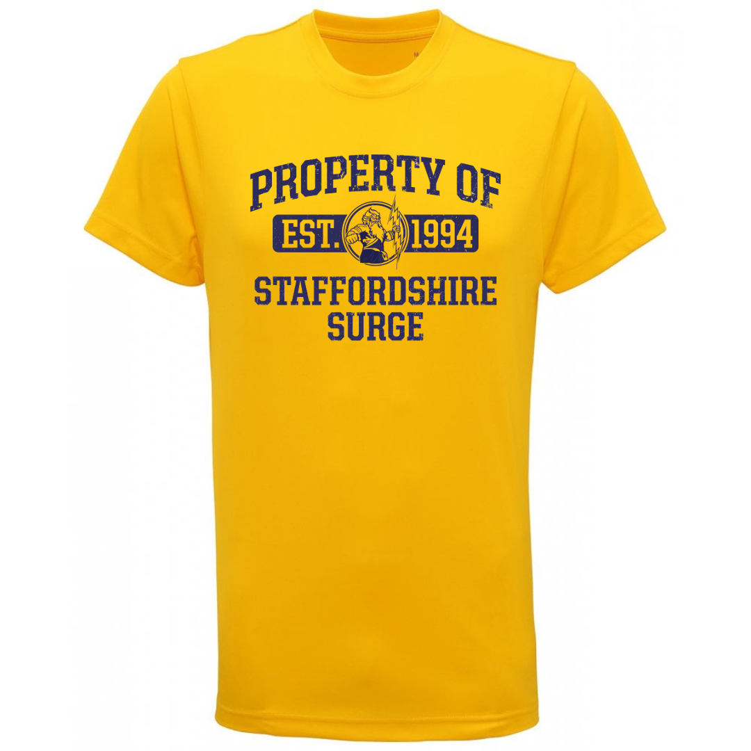 T-Shirt Examples-4 (3).png