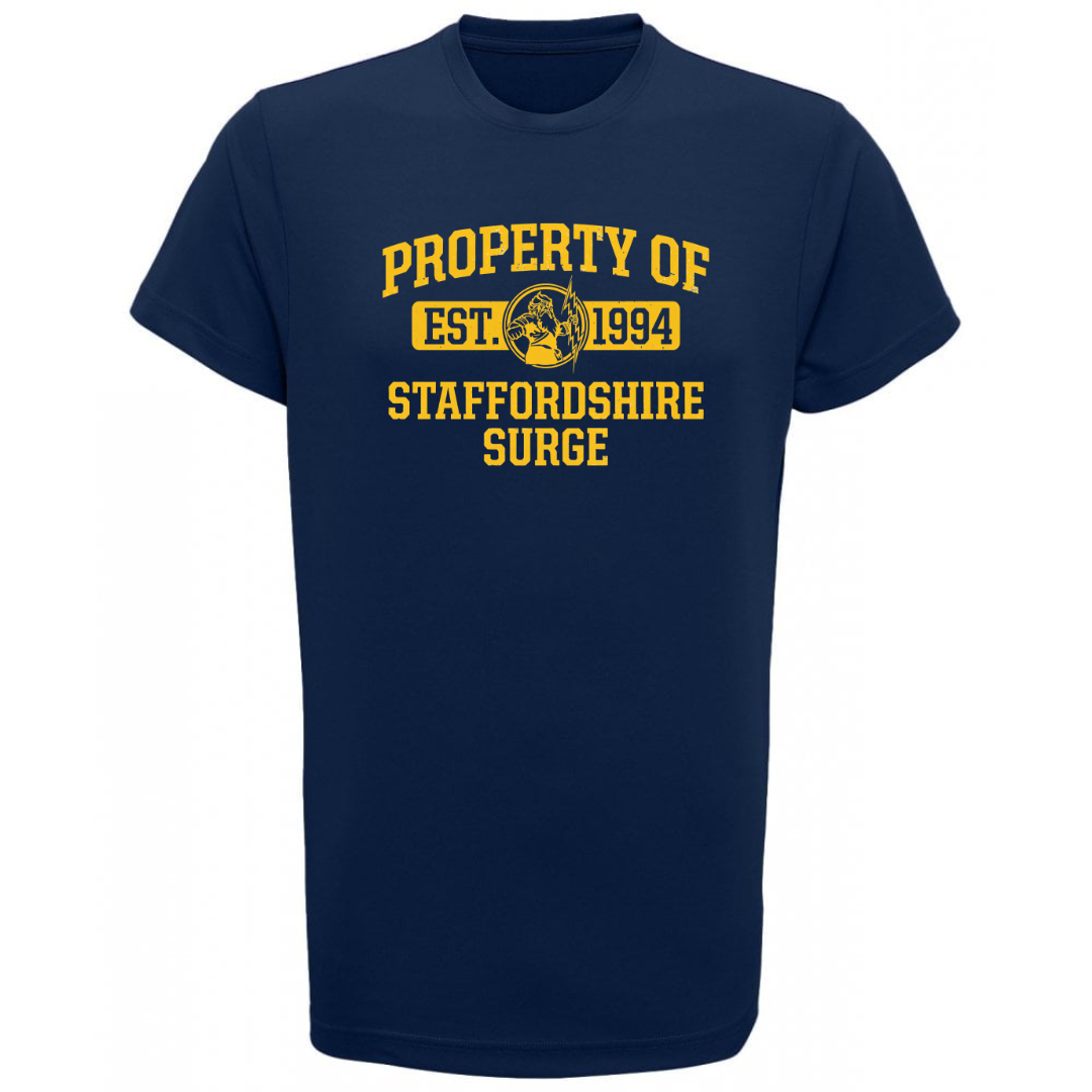 T-Shirt Examples-3 (2).png