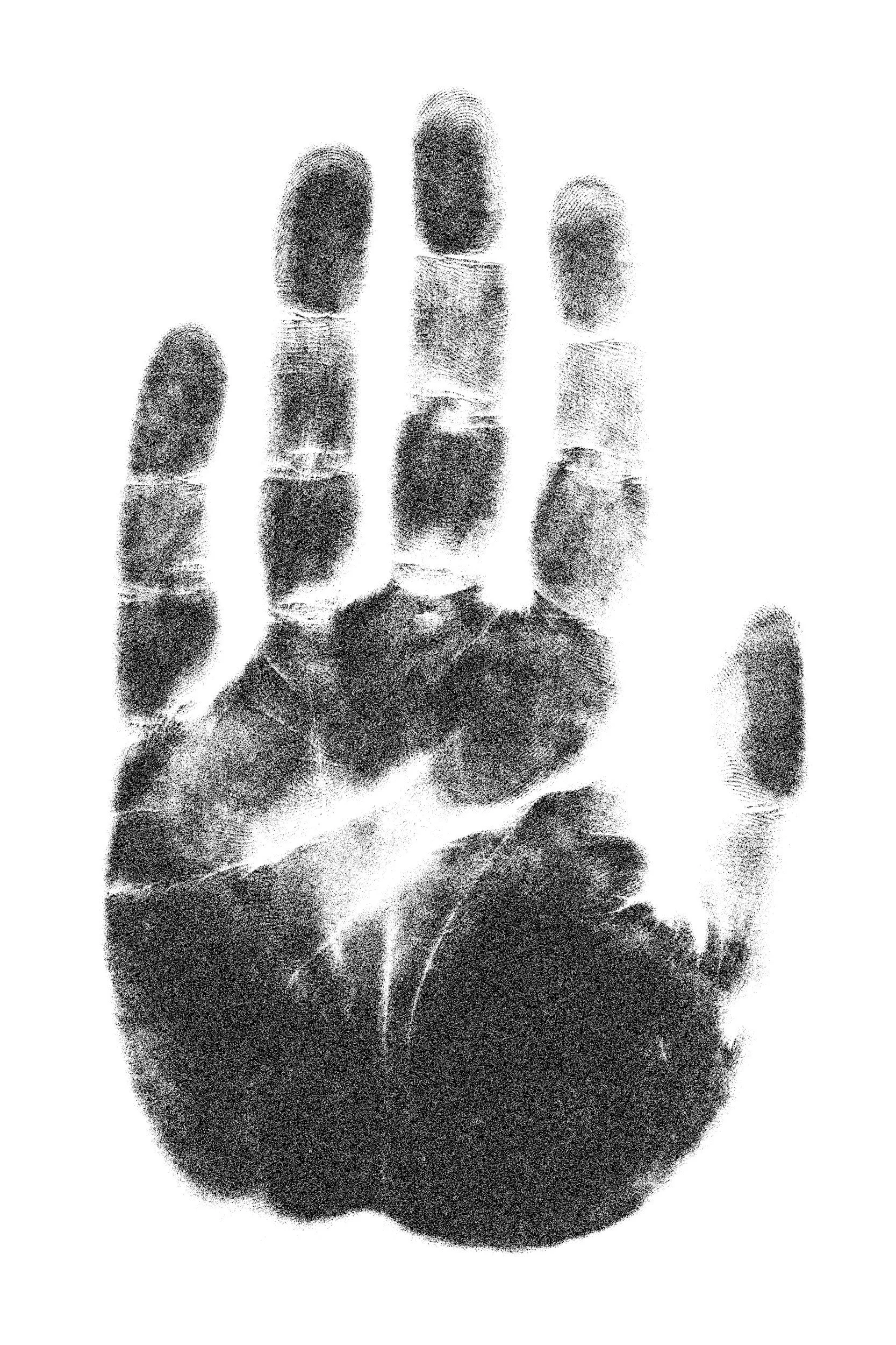 Black fingerprint on white background.