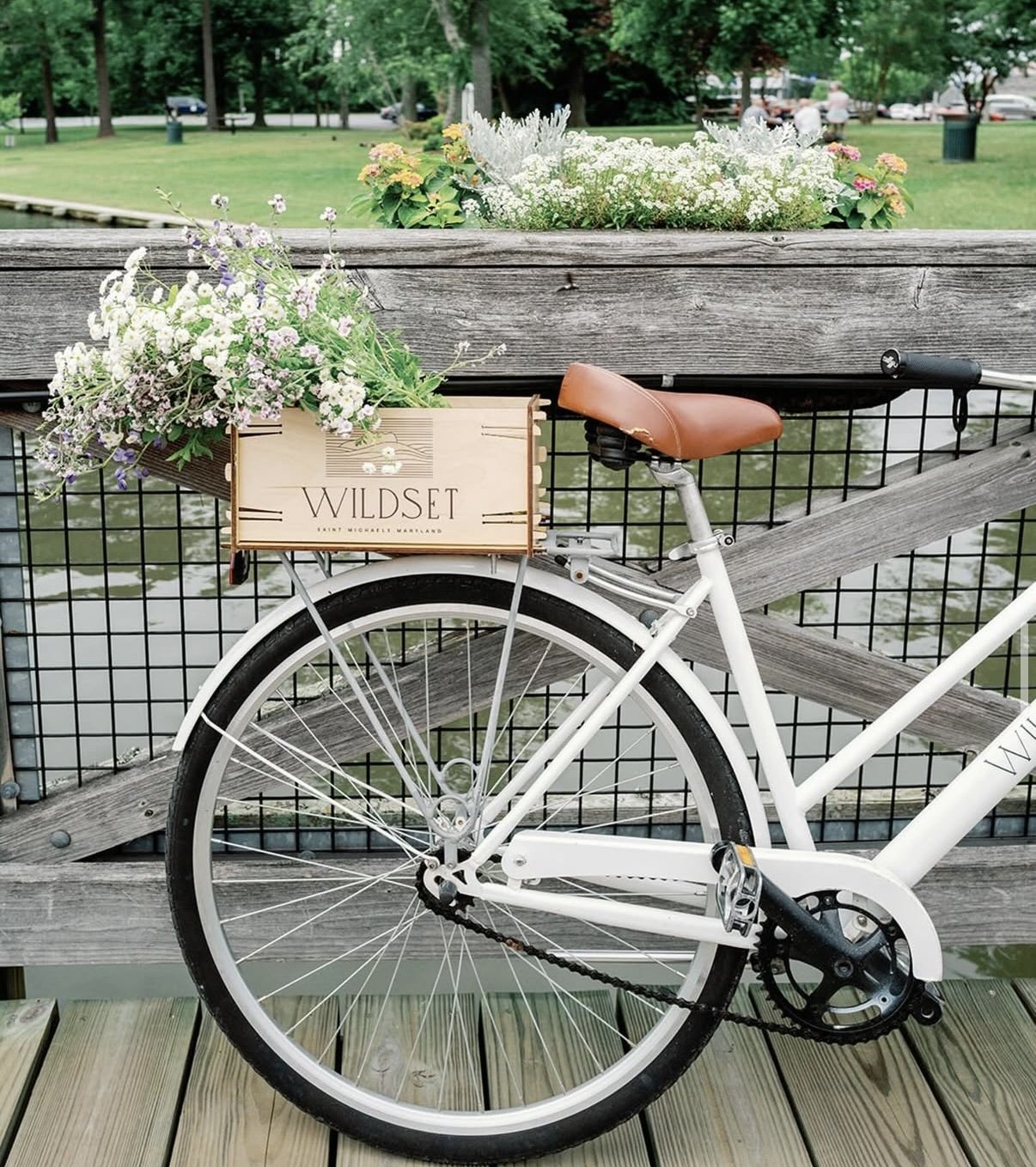White bicycle with a brown leather saddle and a basket of flowers attached to the front, parked on a wooden bridge with a park featuring green grass, trees, and other people in the background.