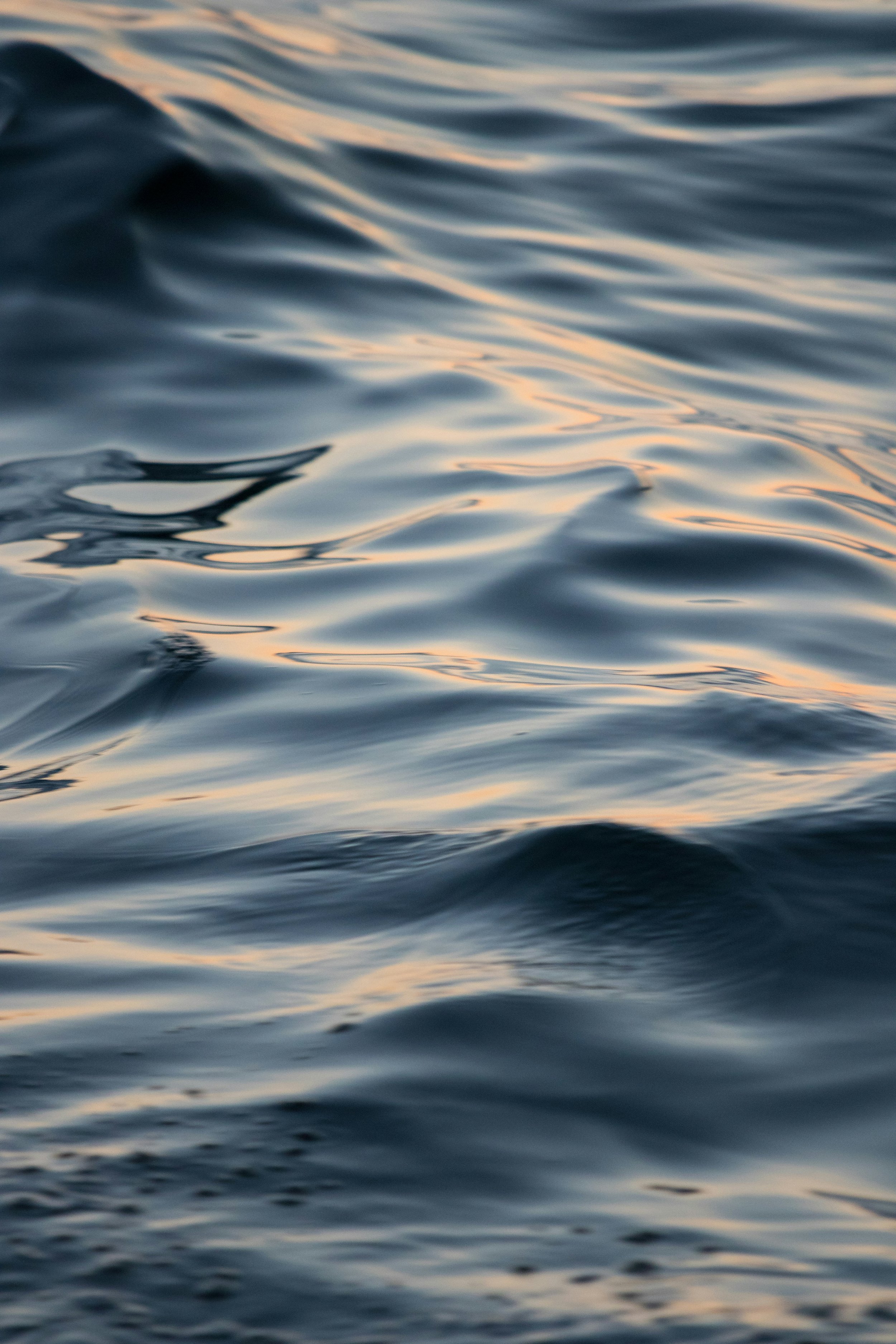 Close-up of the surface of calm ocean water with gentle ripples, reflecting soft sunlight.