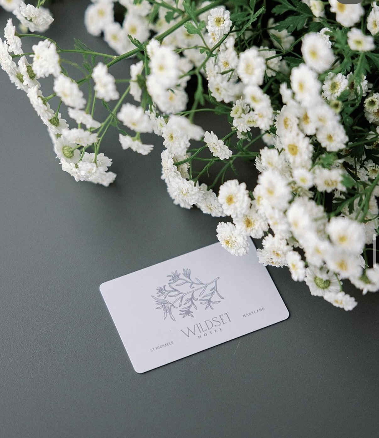 A white card with a botanical illustration and text, placed on a gray surface, with a bunch of white flowers nearby.