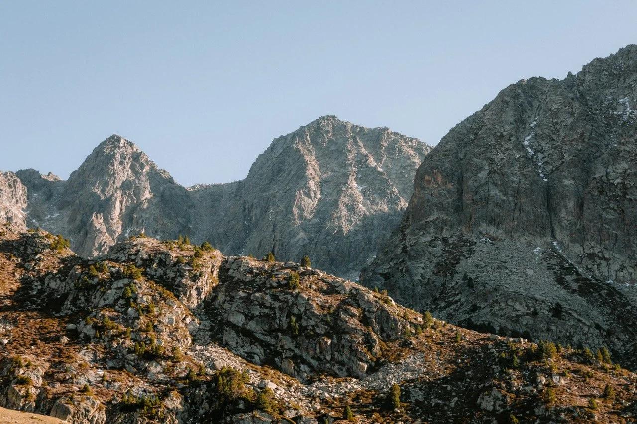 Montañas rocosas y arbustos en un paisaje de montaña