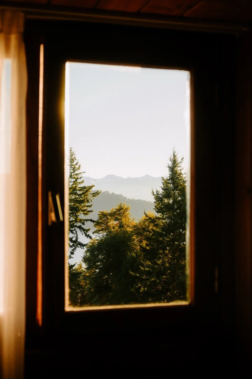 Vista de árboles y montañas a través de una ventana de madera en un interior
