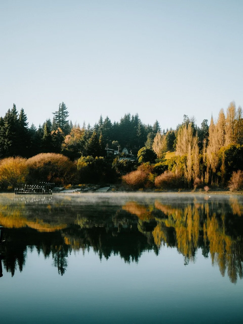 Paisaje con árboles y reflejo en un lago o río