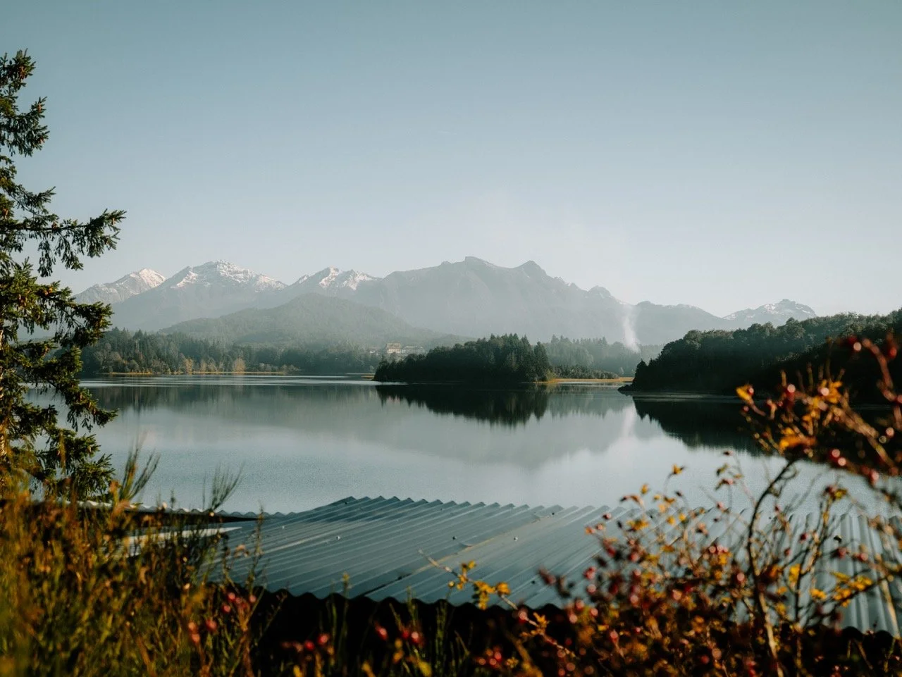 Vista de un lago rodeado de árboles y montañas nevadas en el fondo, con flora en primer plano.