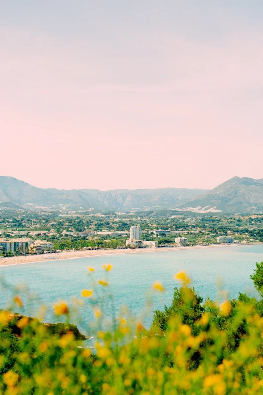 Vista panorámica de una playa con edificios y montañas al fondo, flores amarillas en primer plano y cielo con tonos azules y rosados.