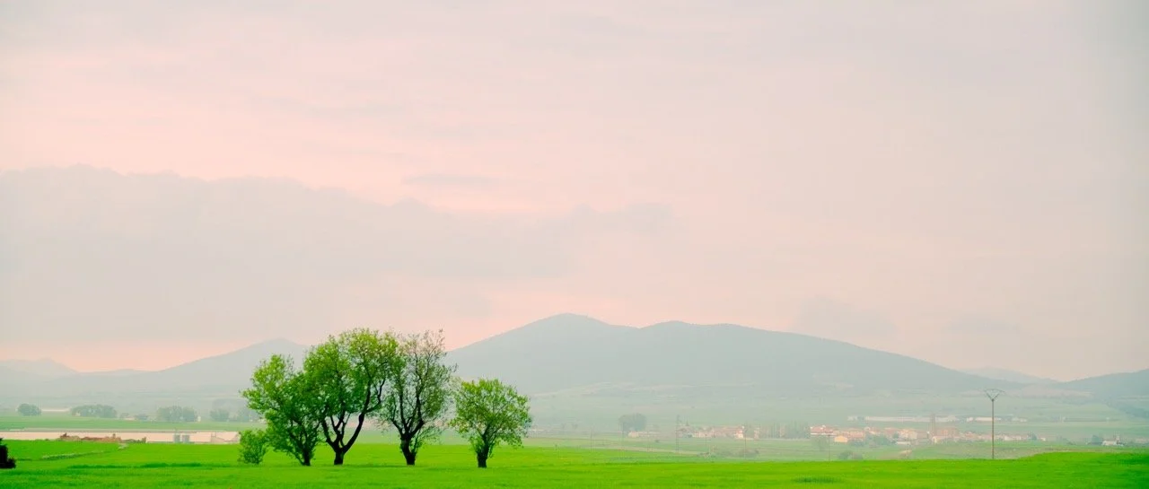 Paisaje con árboles verdes, campos y montañas al fondo en un día nublado.