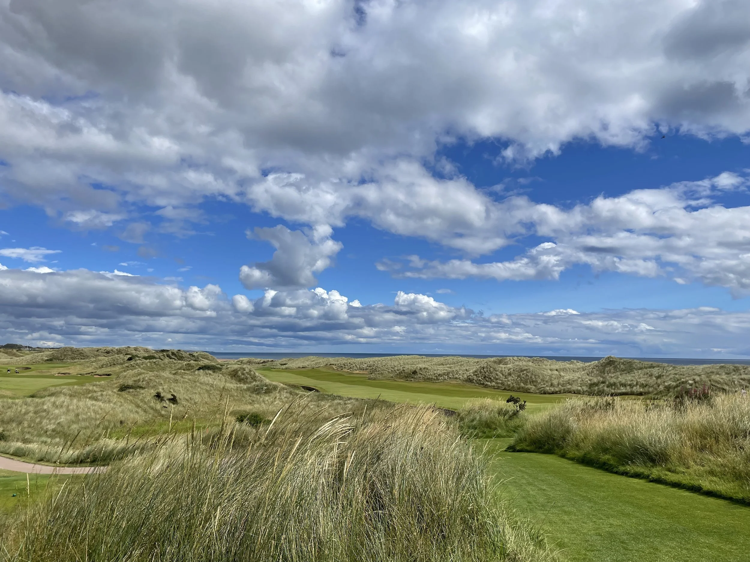 Scenic golf course surrounded by tall grasses and dunes under a partly cloudy sky.