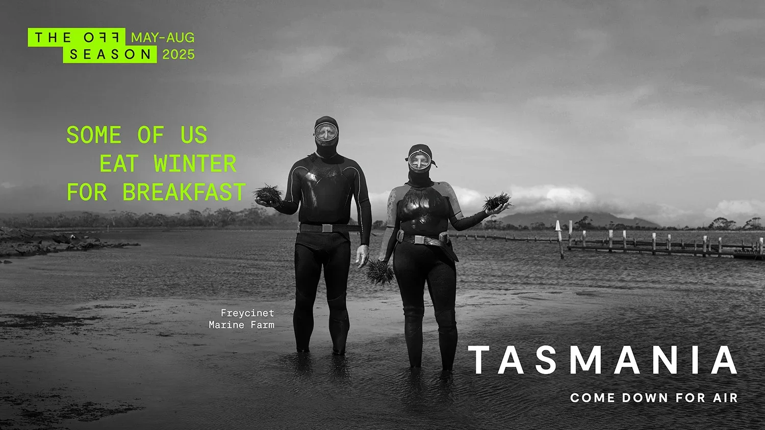 Two people in wetsuits, face masks, and fins stand in shallow water on a beach, holding spiny sea creatures, with a pier and cloudy sky in the background. Text overlays promote the Tasmanian fishing season and a seafood event.