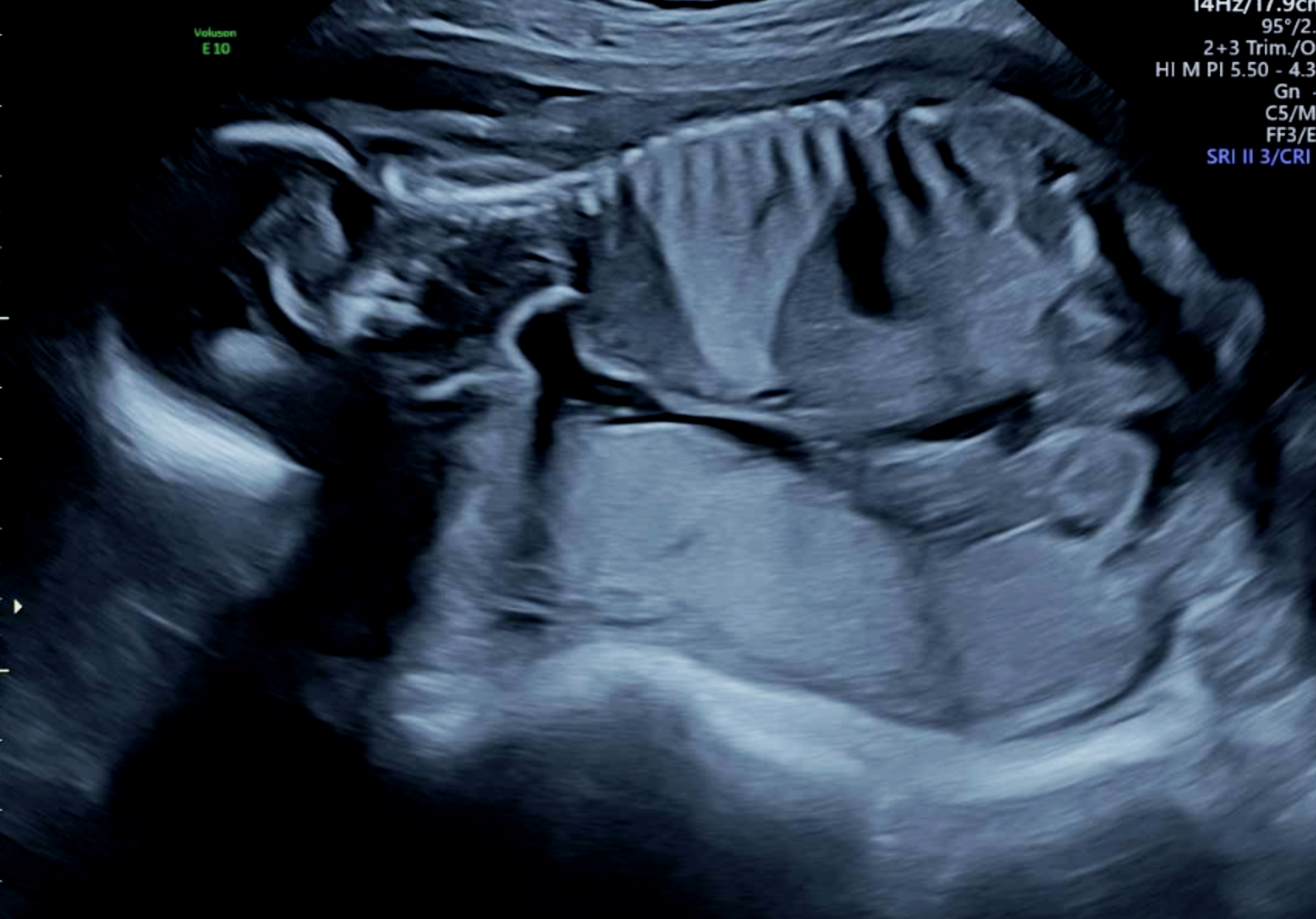 Screenshot 2026-04-15 at 8.51.40 PM.png