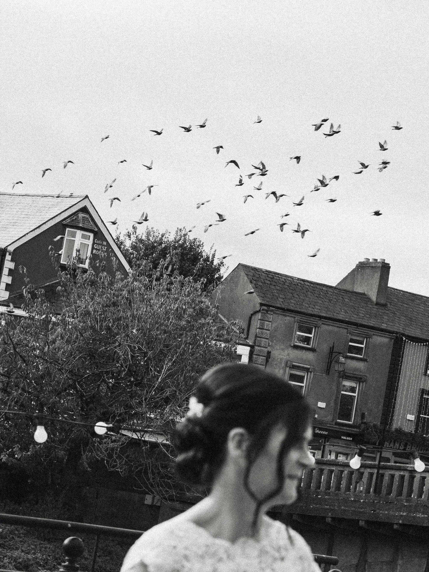 The birds and Julie 👰🏻&zwj;♀️🐦

#documentaryweddingphotography #candidweddingphotographer #irishweddings #gettingmarried2026 #gettingmarried2025 #irelandweddings #weddingphotographerdublin #documentaryweddingphotographerireland #weddingskilkenny #