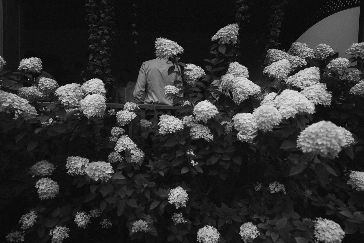 Apparently a photo with some hydrangea flowers and a few people hardly visible in the background. 

But apart from capturing the beauty of such flowers, I added some humour. Wait, where? 

Isn&rsquo;t that flower on top in the center replacing the ma