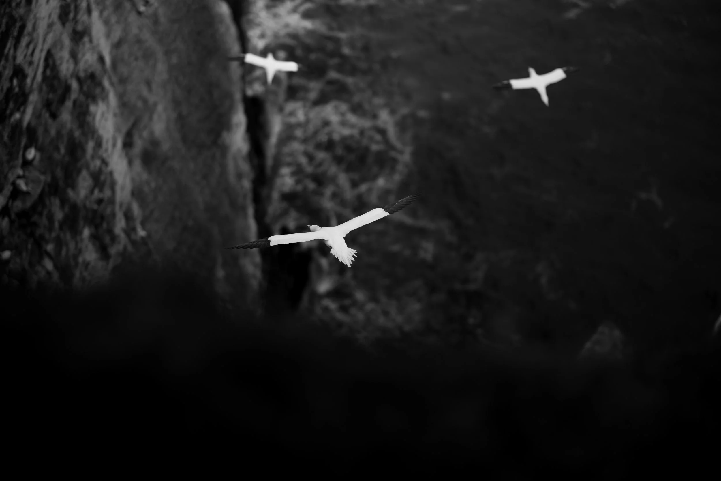 _DSC8286.jpg