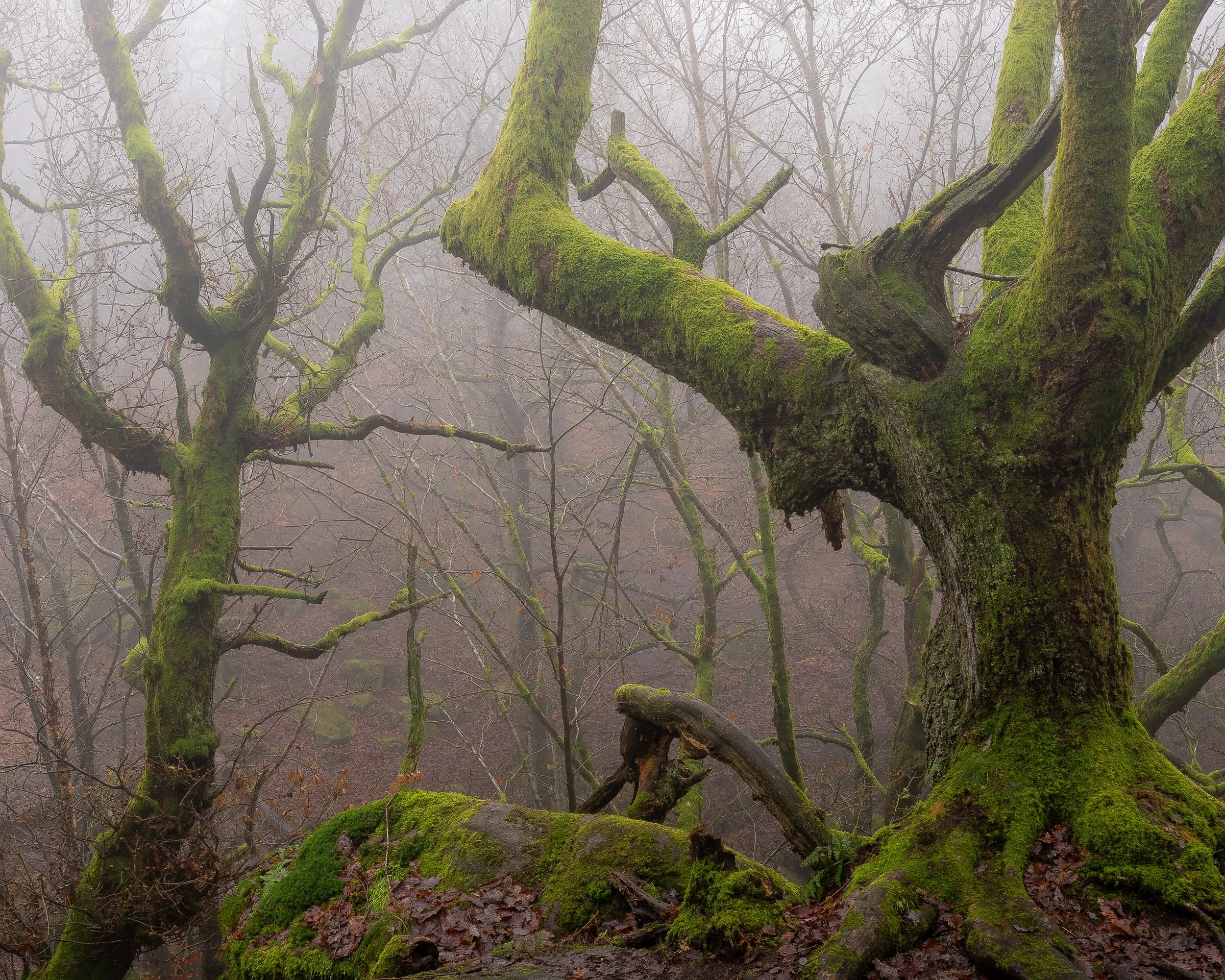 _DSC5693-HDR.jpg