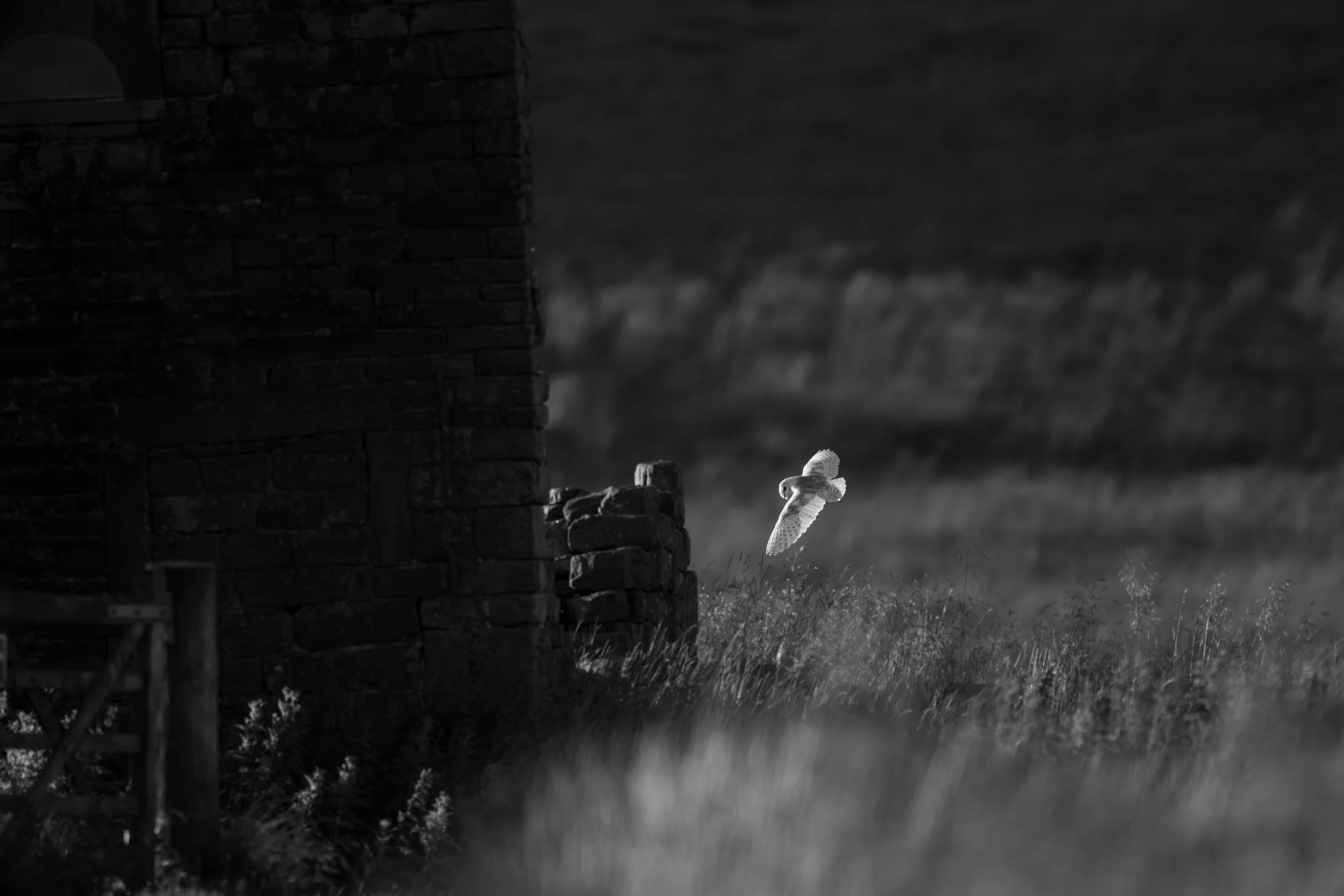 Fading light-6812.jpg