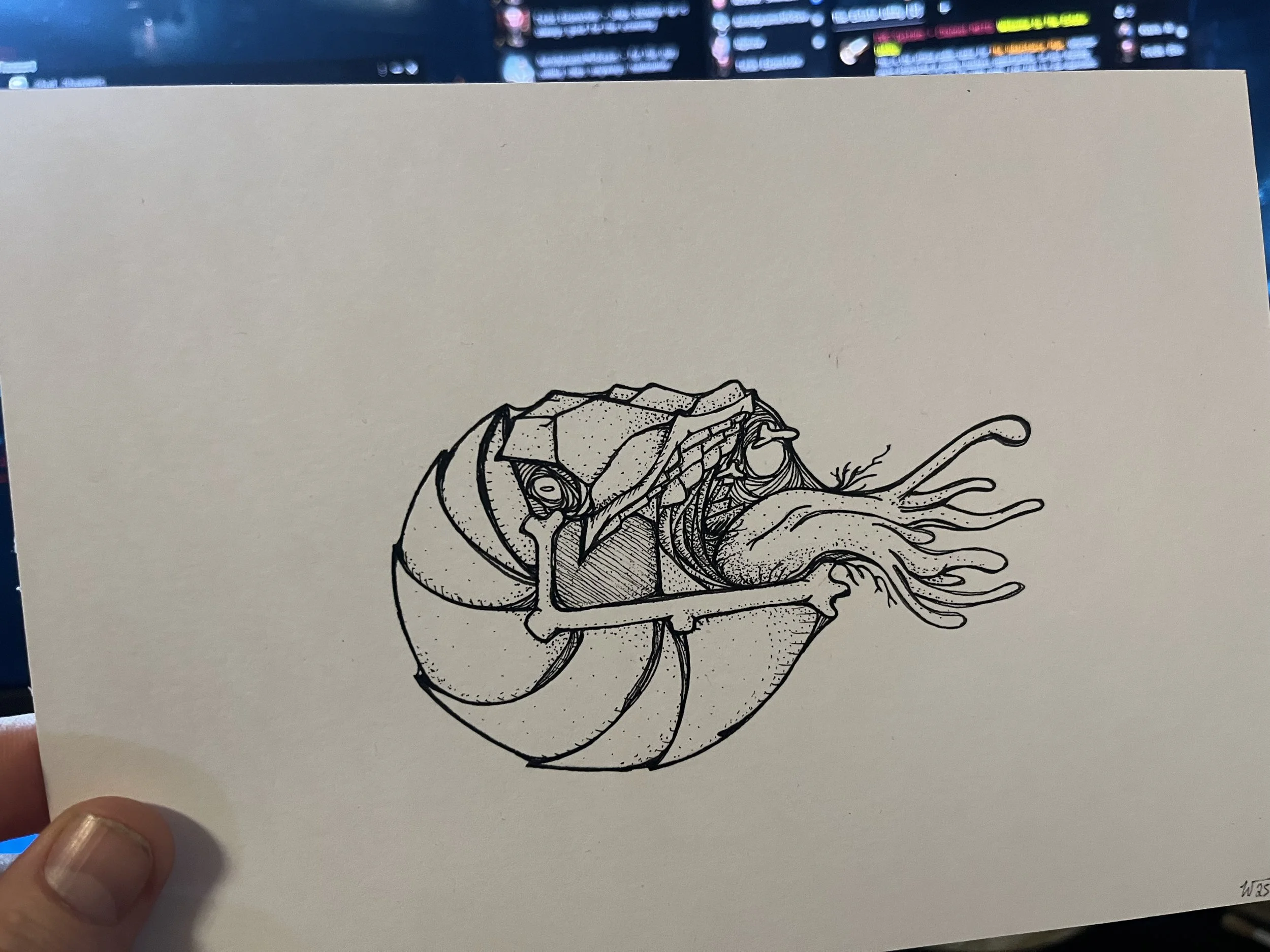 IMG_3536.jpeg