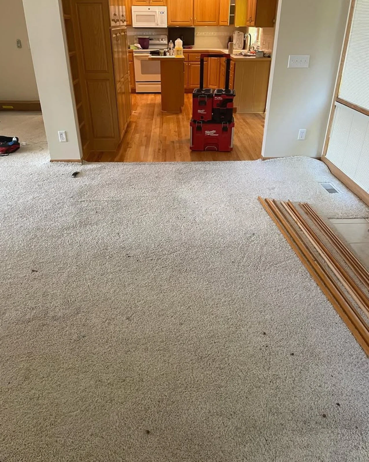 Living room with beige carpet, transition to a kitchen with hardwood floor, red Milwaukee tool boxes on the floor, wooden planks stacked near the window.