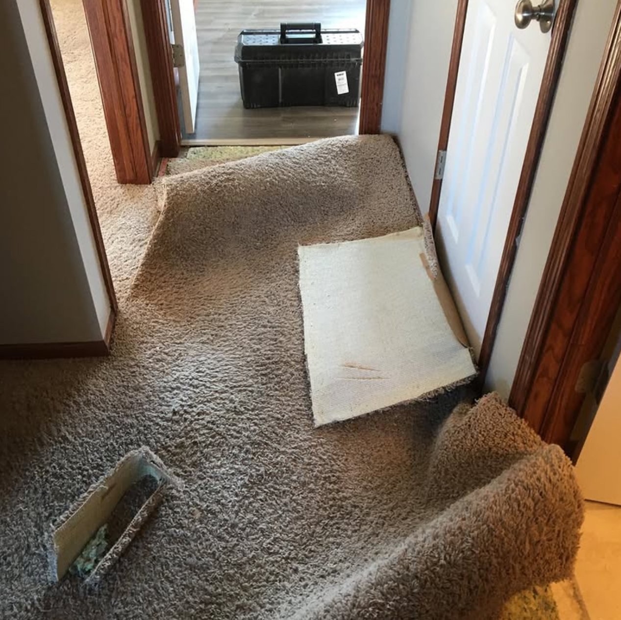Interior view of a hallway with a carpeted floor. The carpet is partially rolled up, revealing a white padding underneath. There is a black toolbox in the background in an adjacent room.