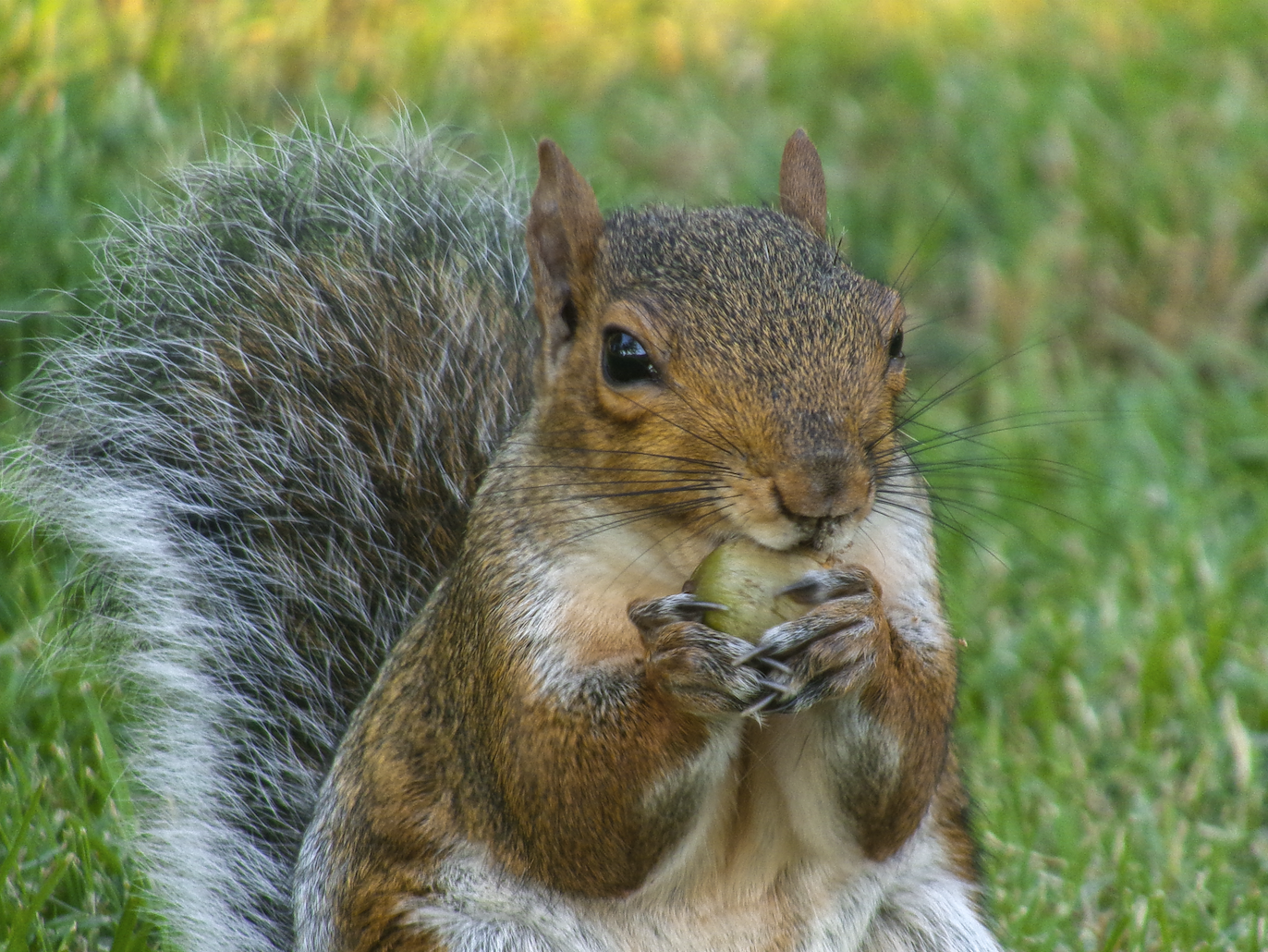 Screenshot 2025-11-29 at 5.16.03 PM.png