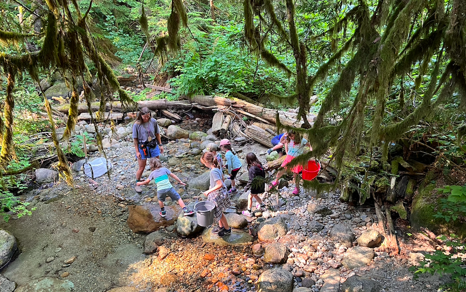 Not a Teacher, But a Forest School Practitioner: What’s the Difference?