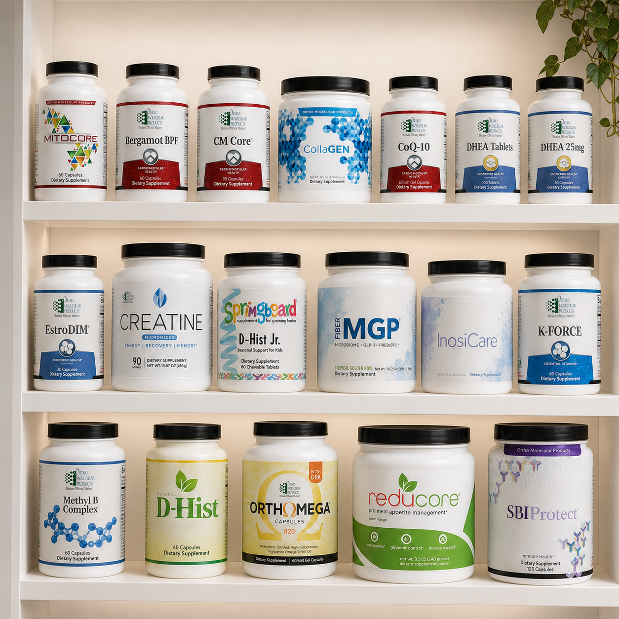 Supplements and Vitamins at TINC