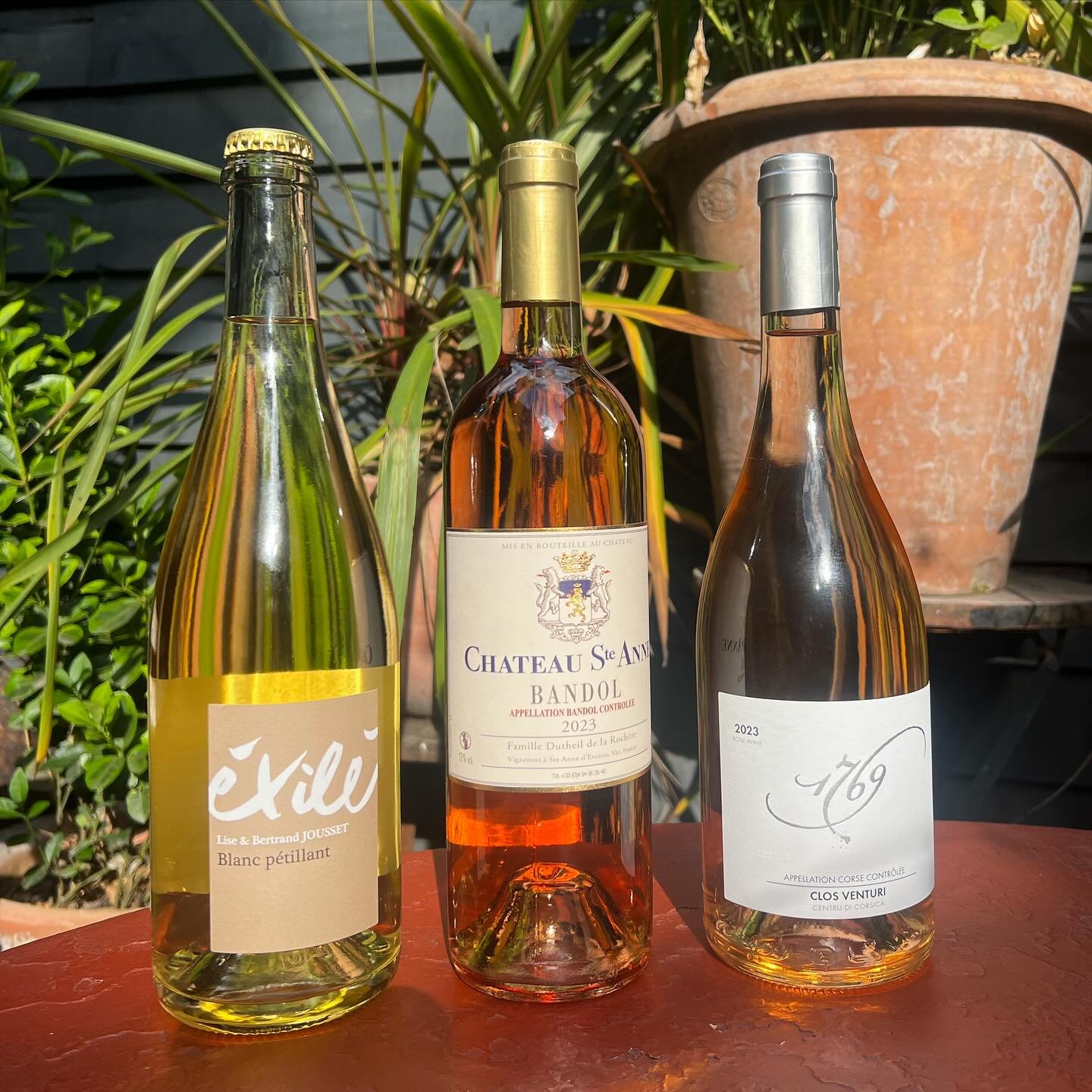 Thing you could (and should) be drinking on our terrace right now. 
- Lise &amp; Bertrand Jousset Exil&eacute; Pet Nat 
- Chateau Ste Anne Bandol Ros&eacute; 
- Clos Venturi 1769 Corsica Ros&eacute; ☀️☀️☀️