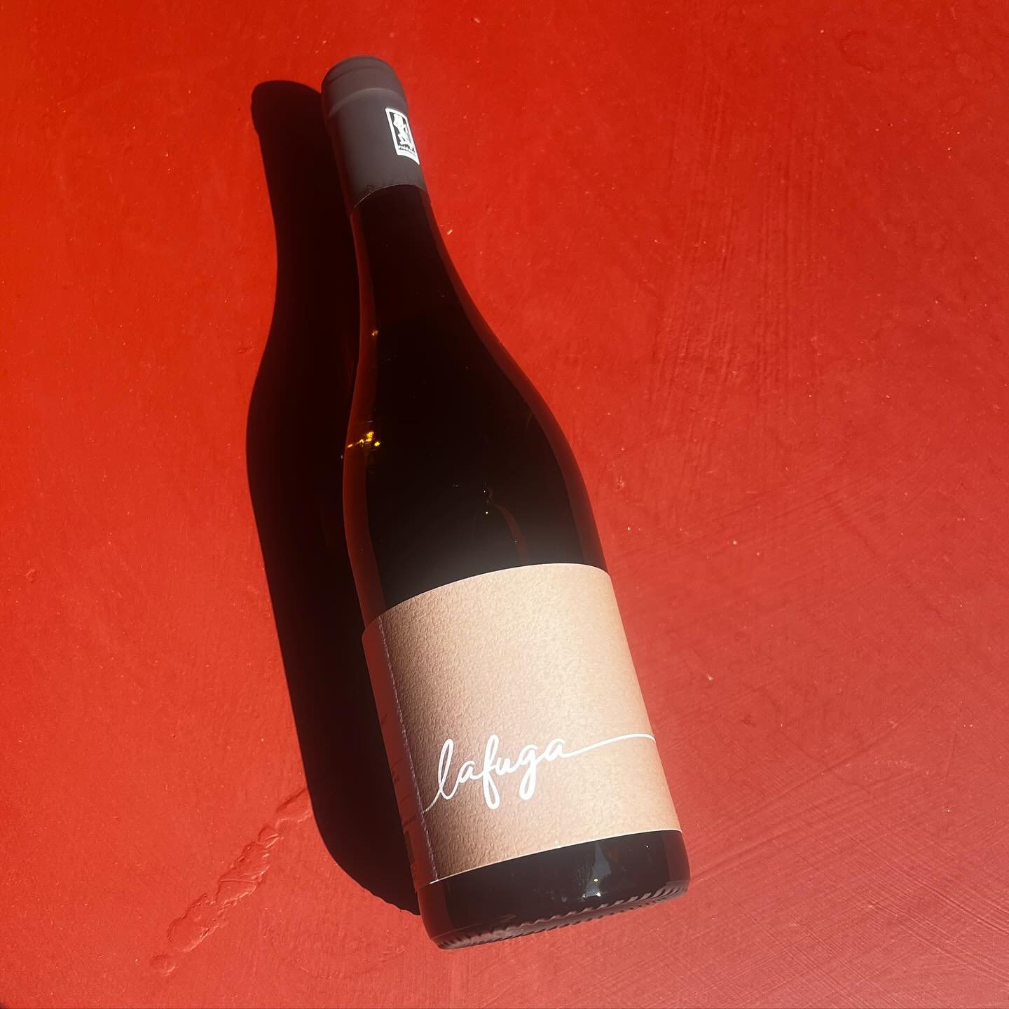 A little sneak peak of the wines for our Terrazzo tasting this Friday. Meet the La Fuga Montepulciano Rosato from Le Marche. ☀️☀️☀️ Tickets are still available for our tasting which starts at 7pm on the terrace. From 8pm our Italo disco party will st