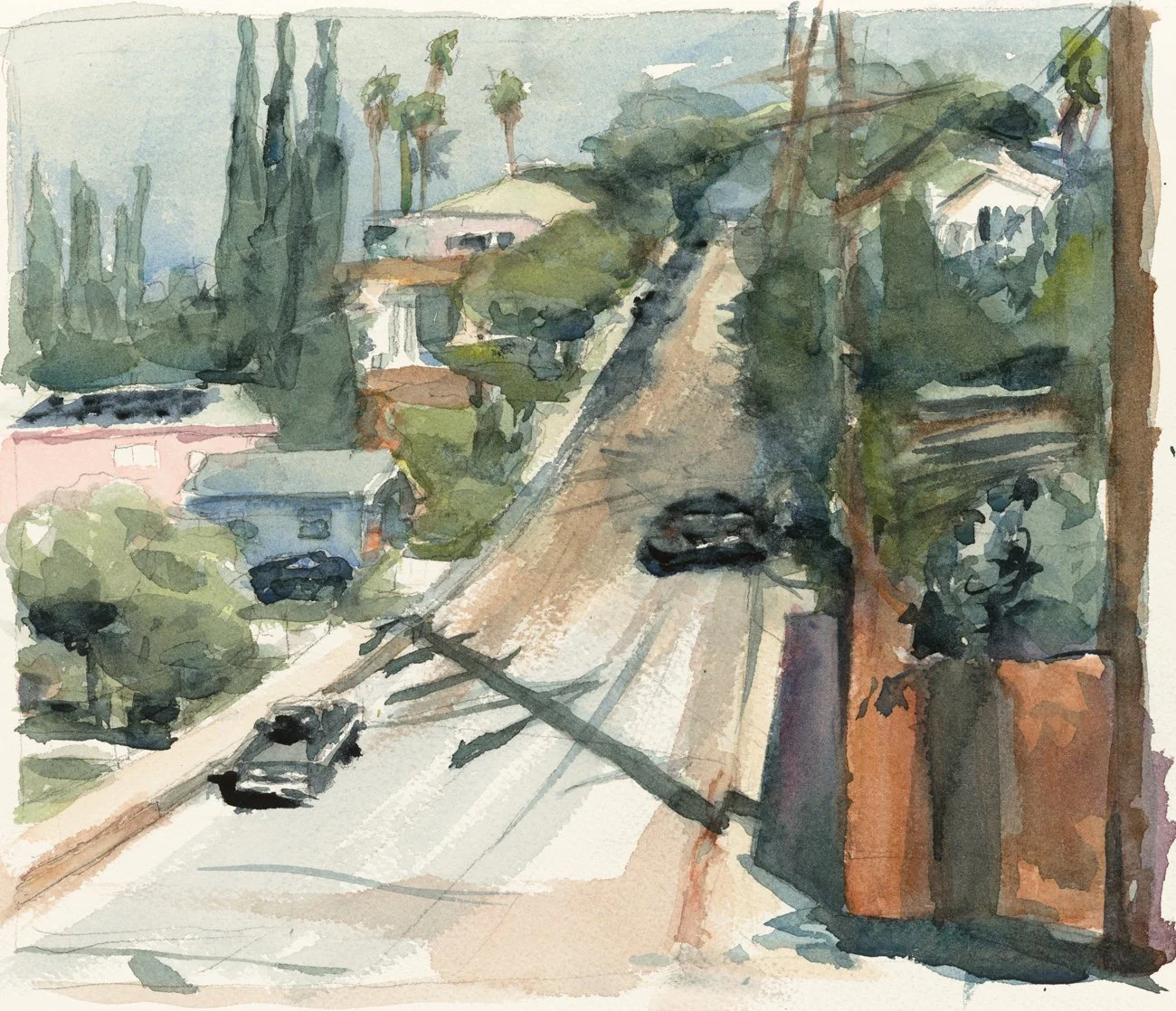 Neighborhood Street in L.A..jpg