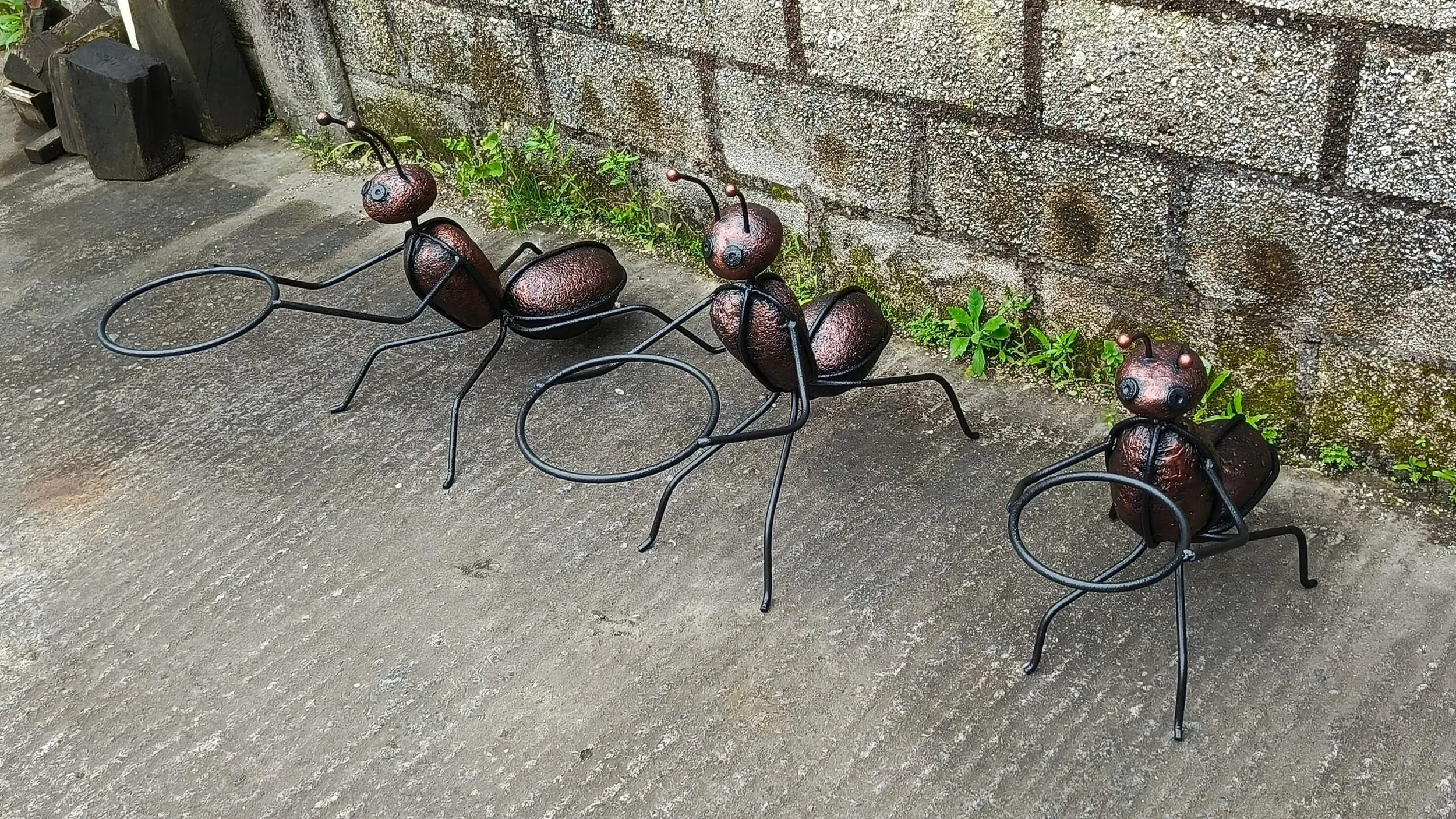 hormigas (16).jpg
