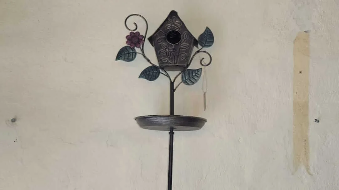 pajaro (2).jpeg