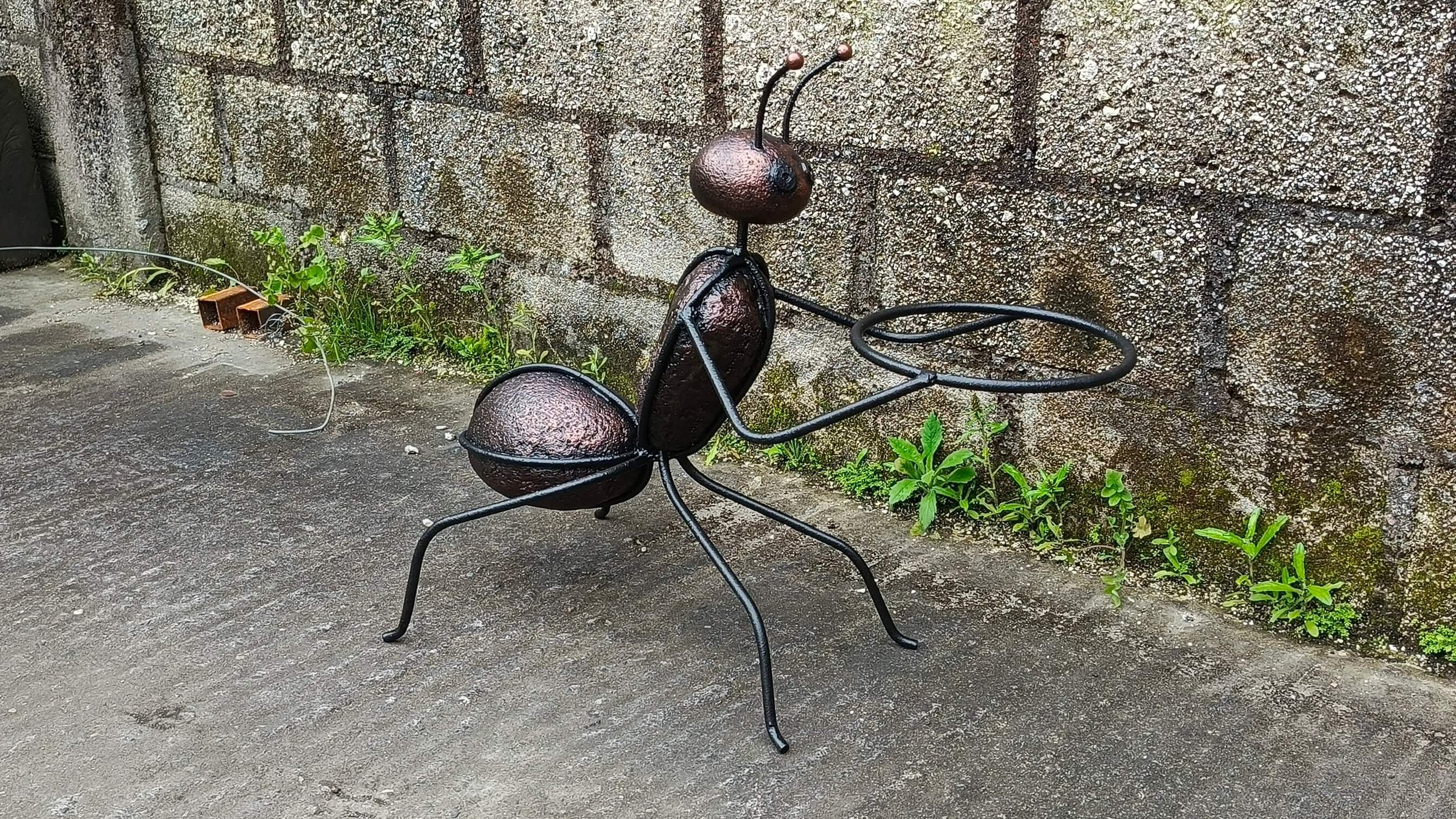 hormigas (10).jpg