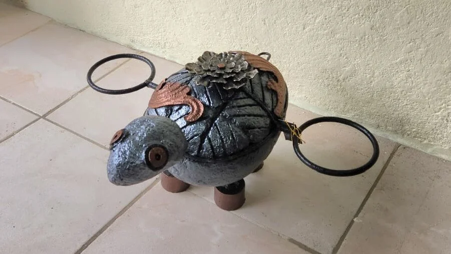 tortuga (10).jpg