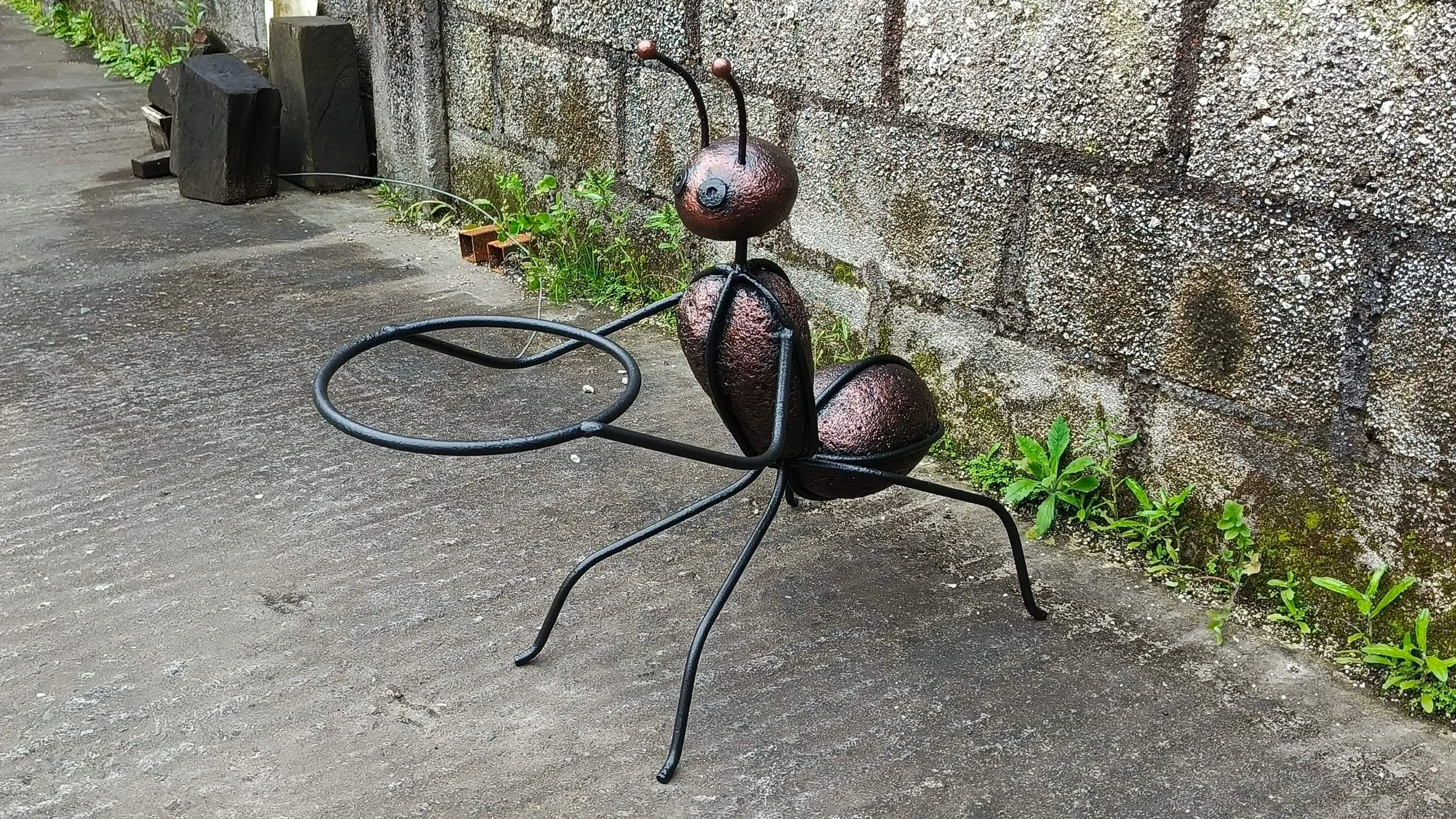 hormigas (14).jpg