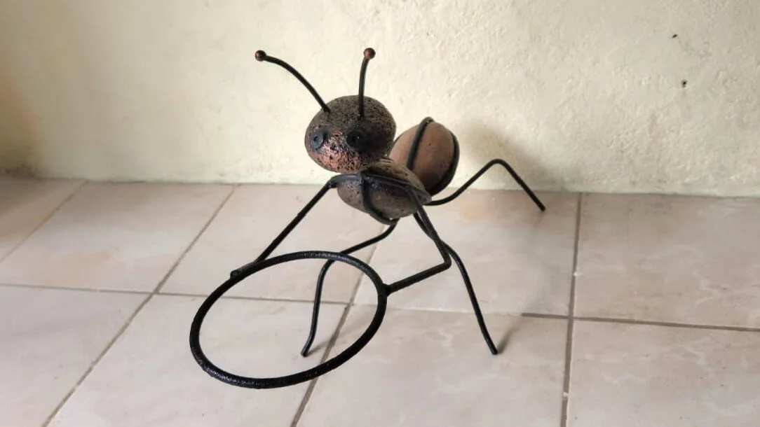 hormigas (7).jpg