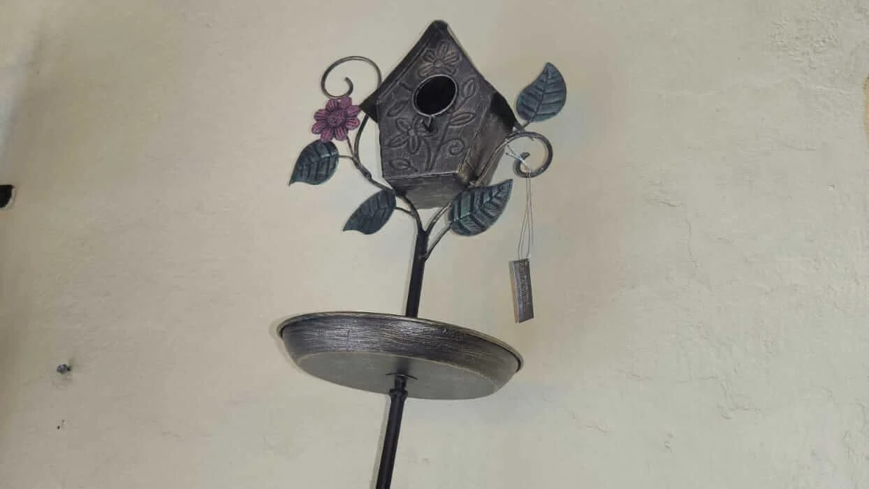 pajaro (4).jpeg