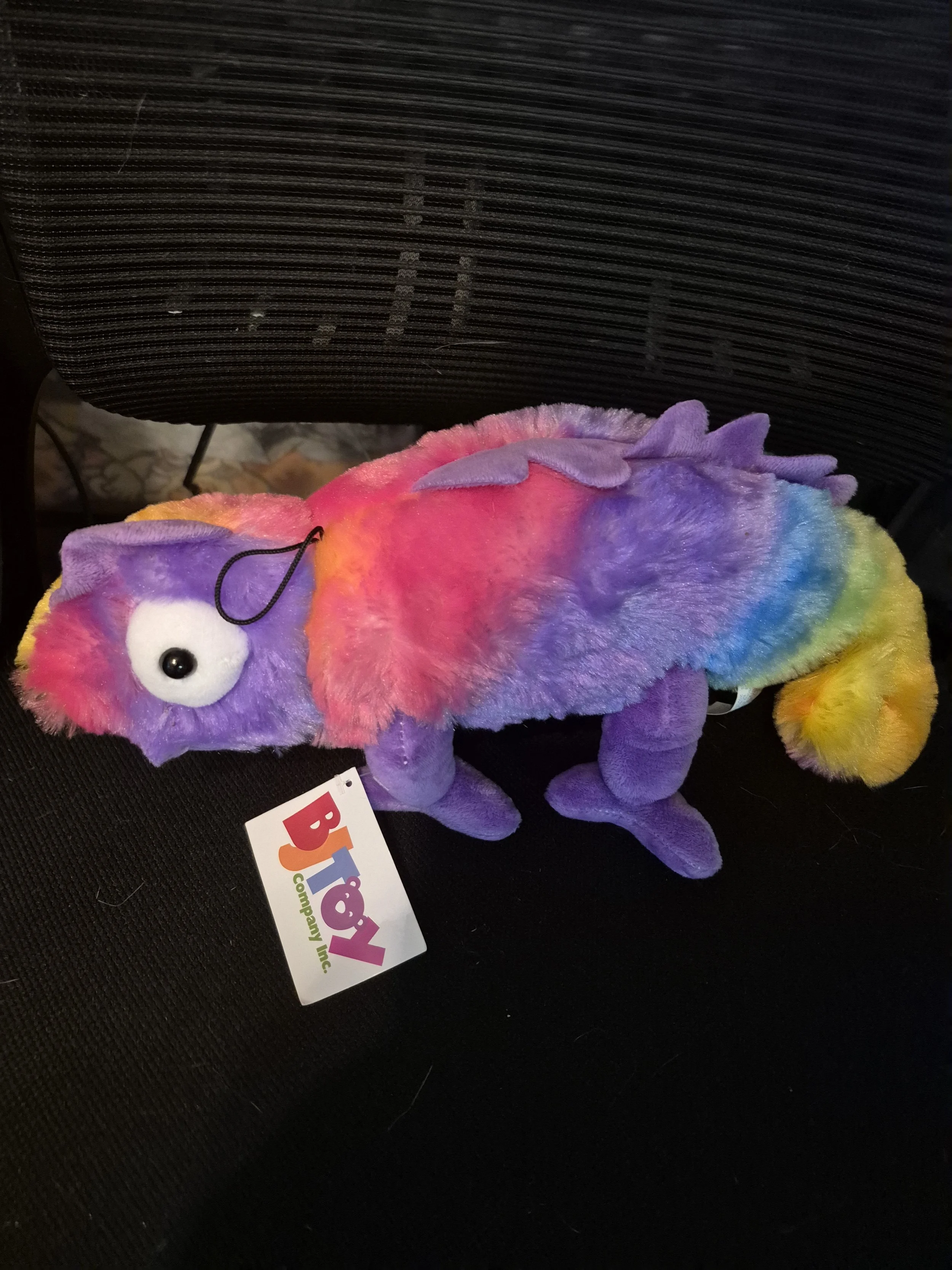 Rainbow Adoption
