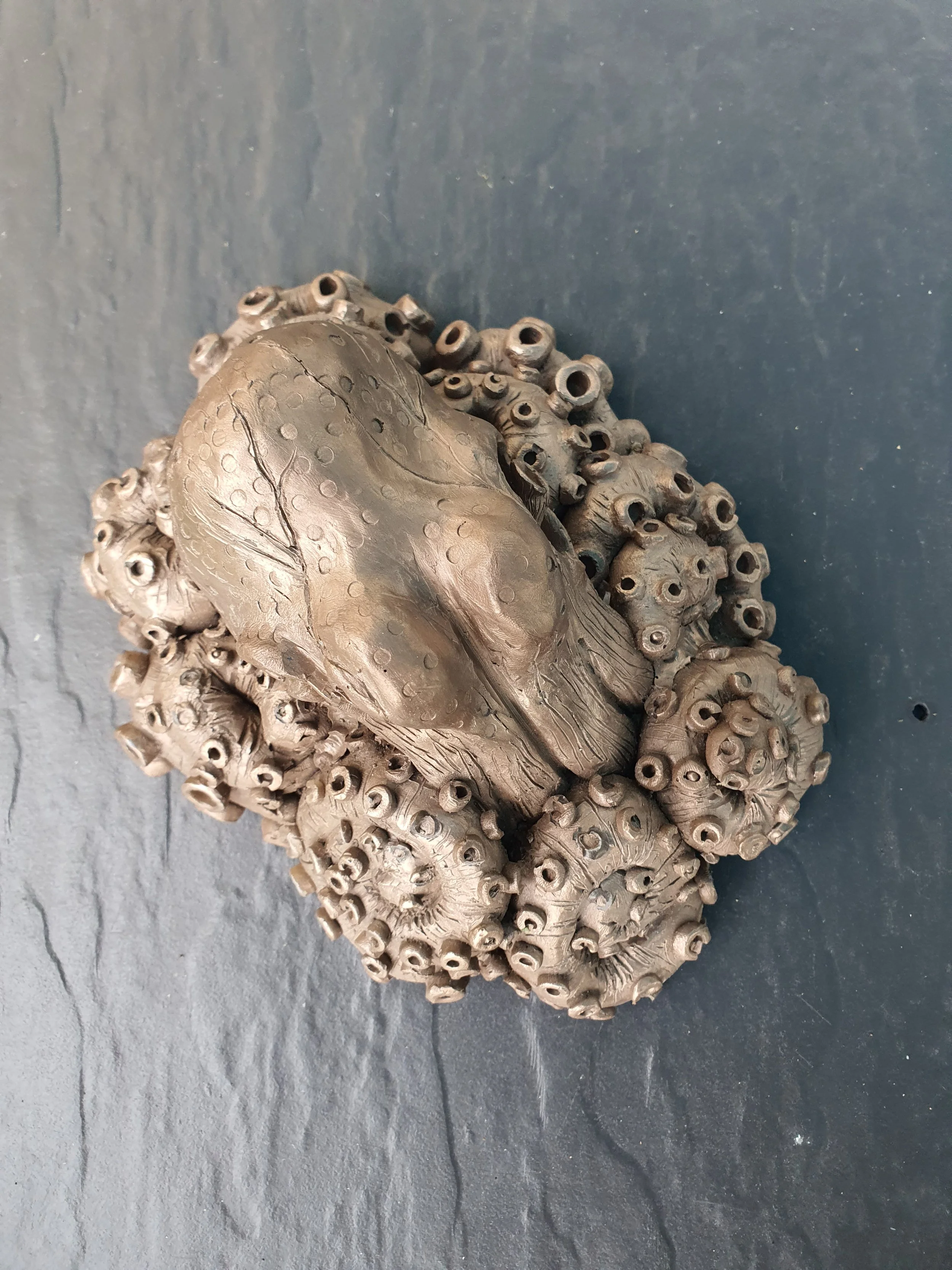 2025-12-11 14.03.50.jpg