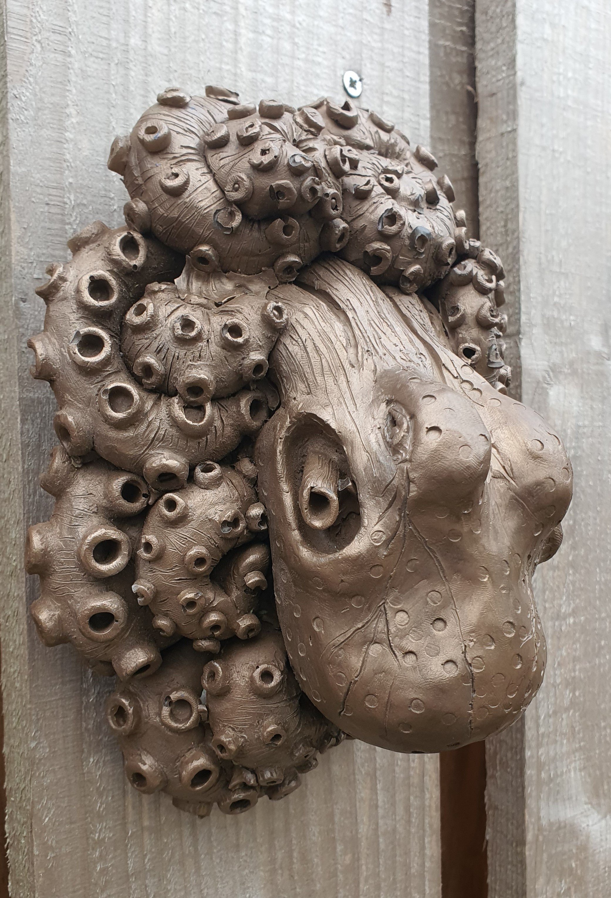 2025-12-11 14.05.45.jpg