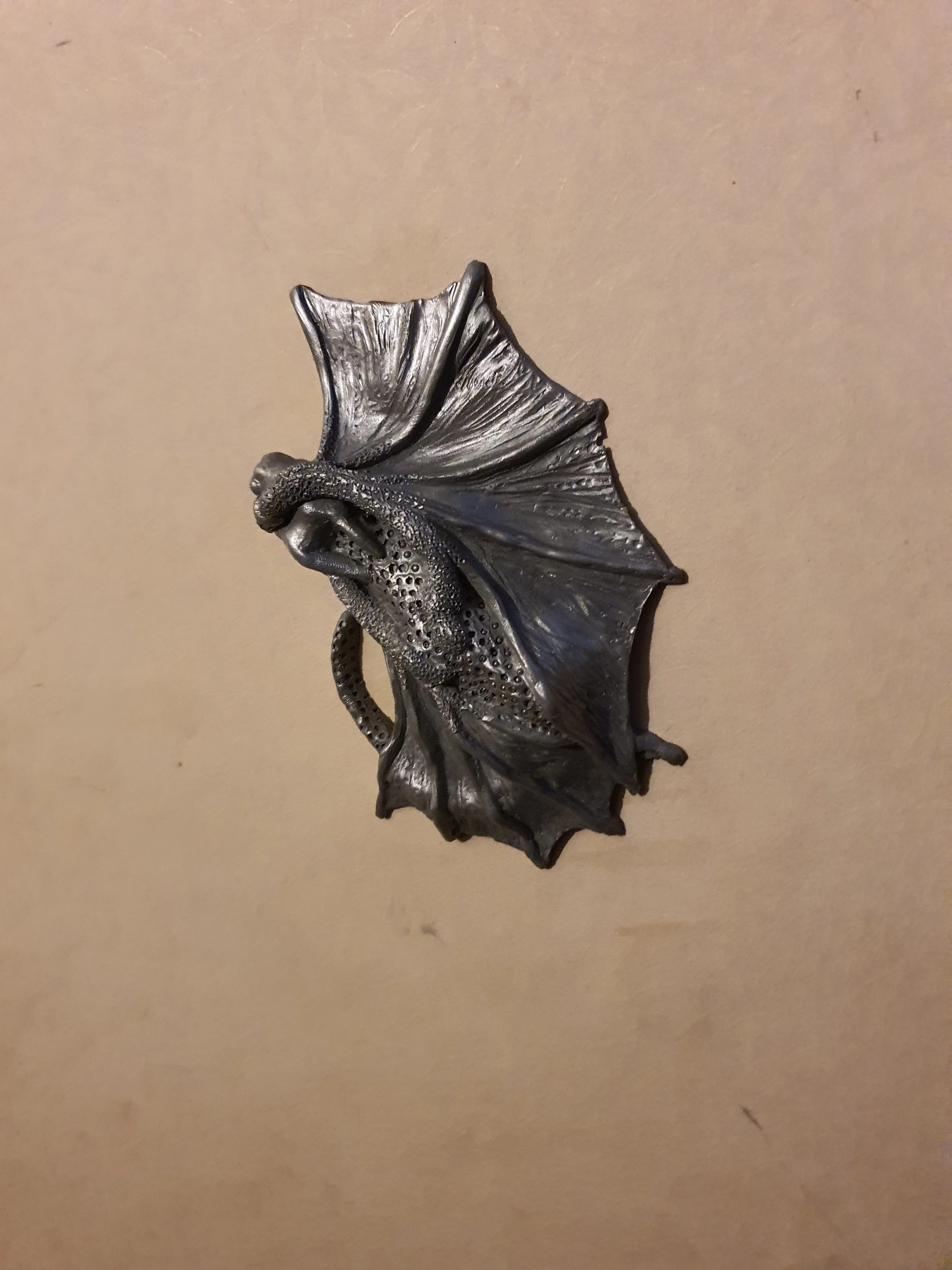 2026-01-28 07.44.51.jpg