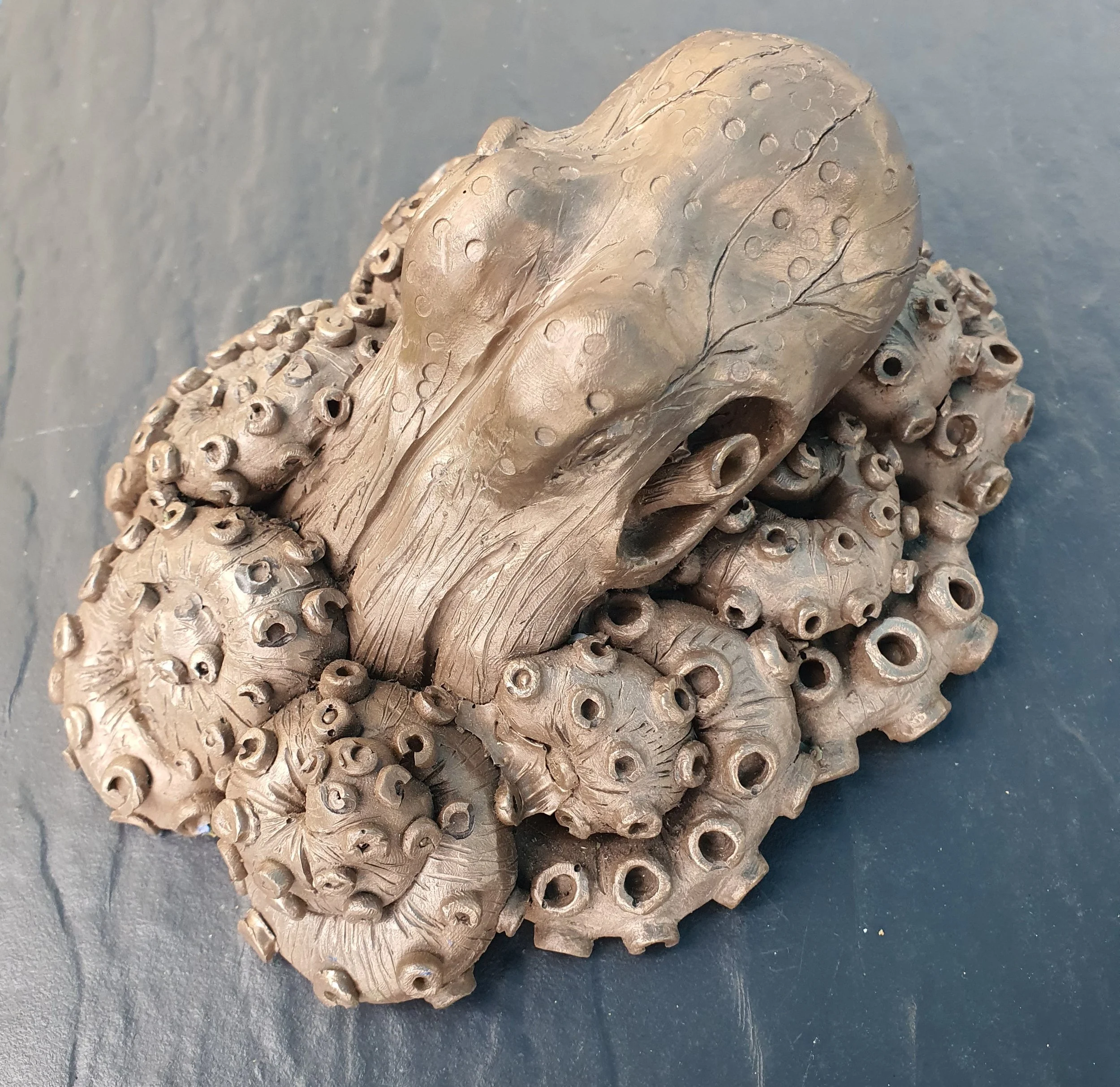 2025-12-11 14.04.18.jpg