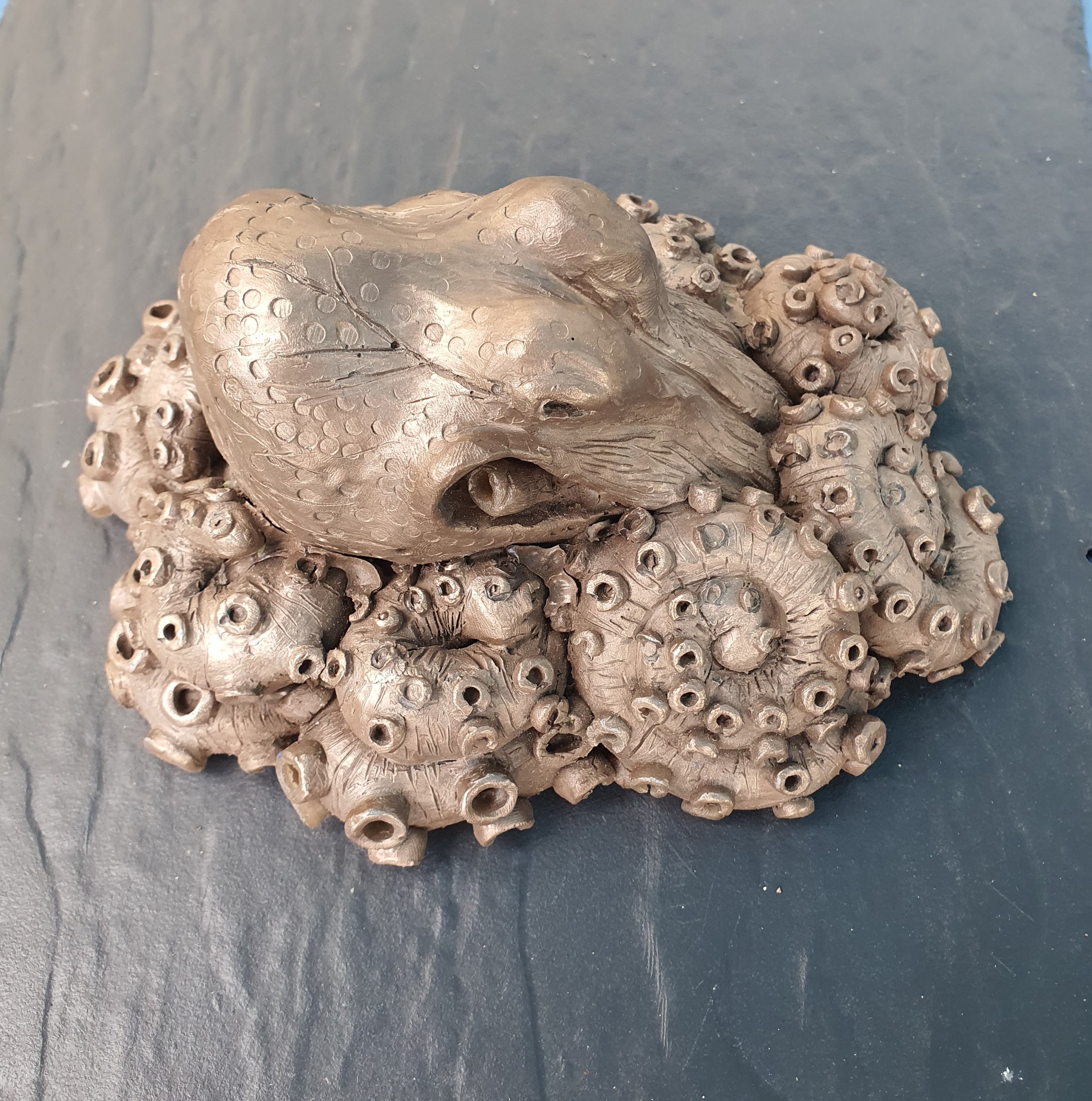 2025-12-11 14.04.06.jpg