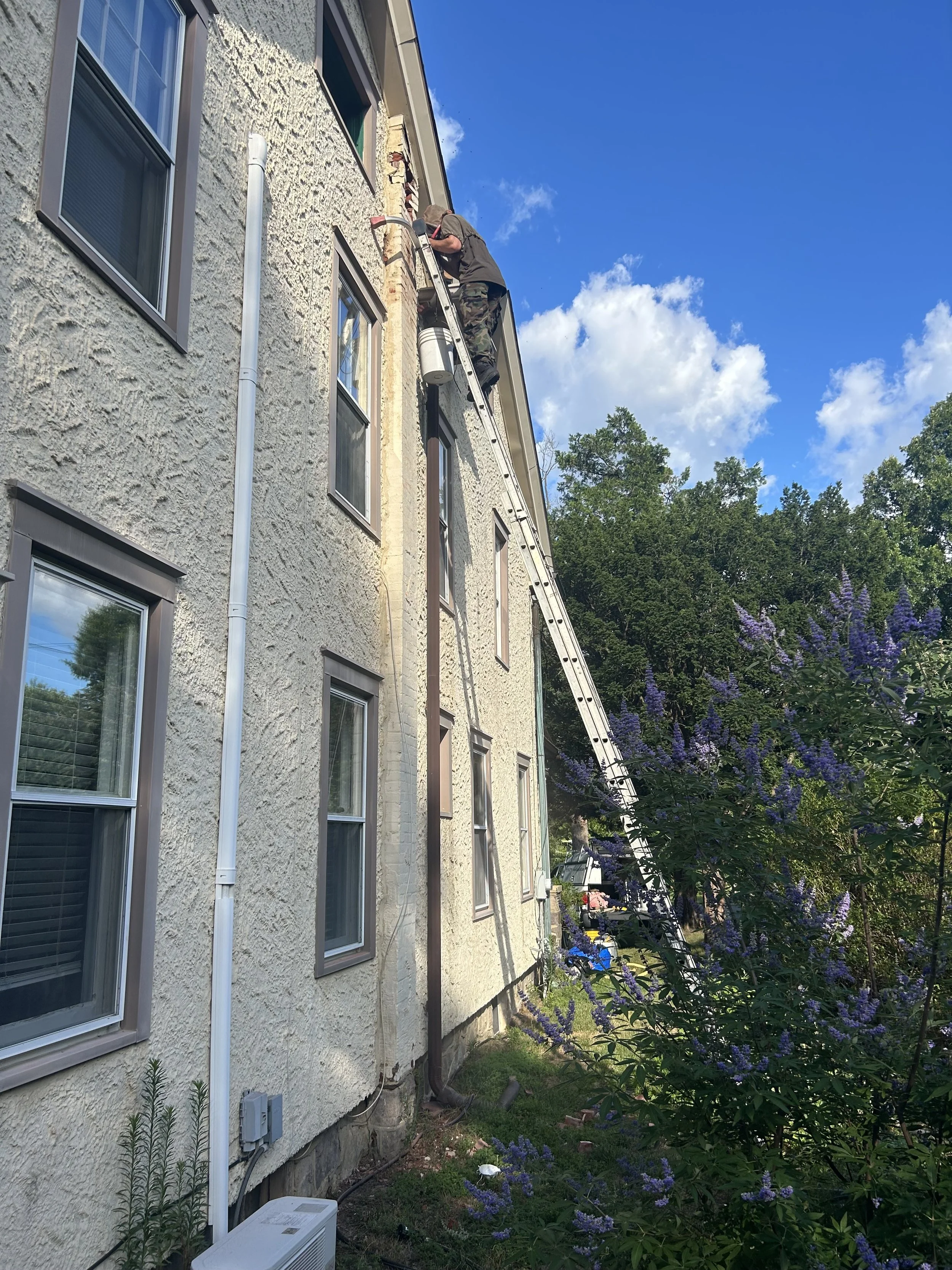 Bee removal from the exterior of a home from in Hammonton NJ