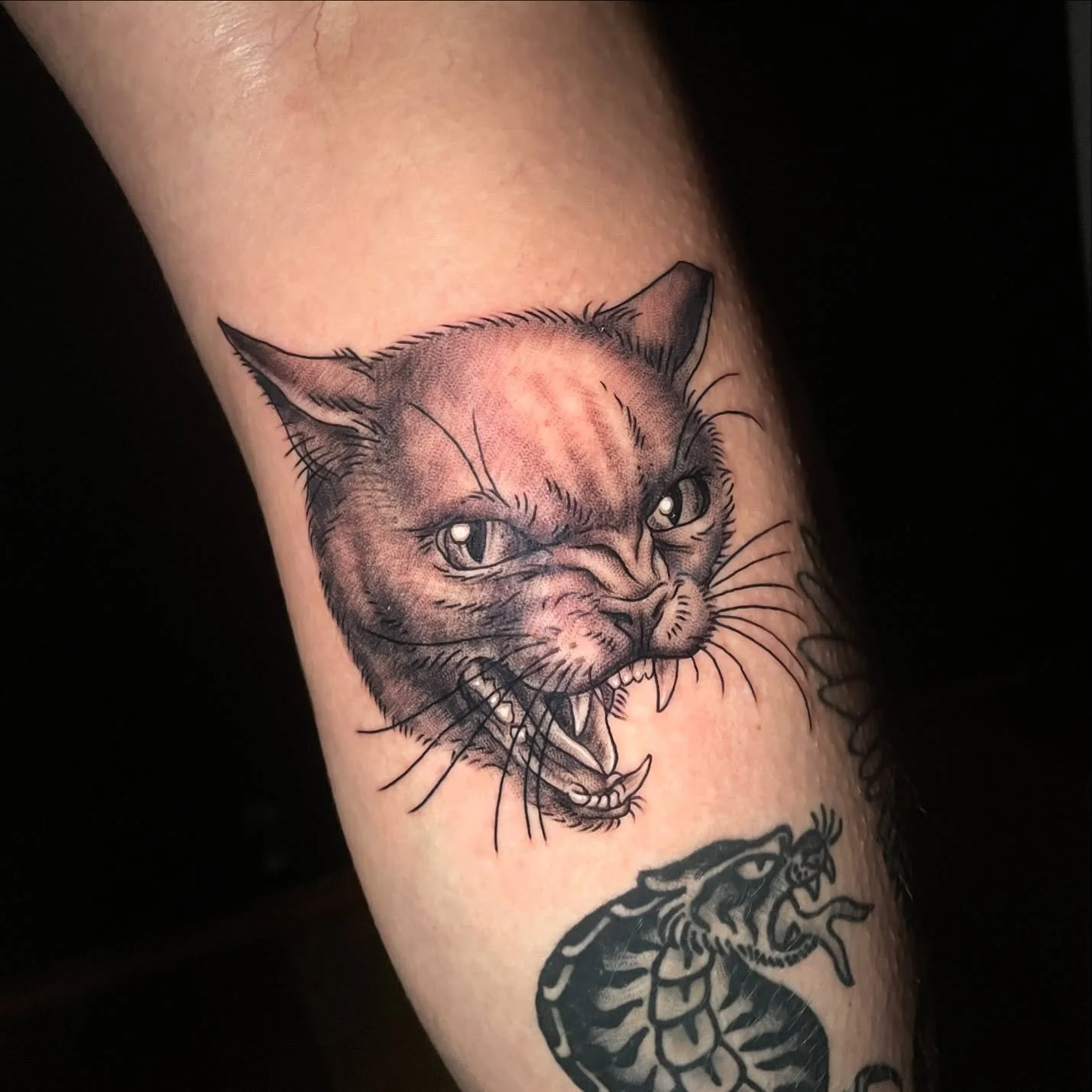 Mean kitty cat 🐱 by @sensualbeasts.tattoo 
.
.
#cattattoo #blackandgreytattoo