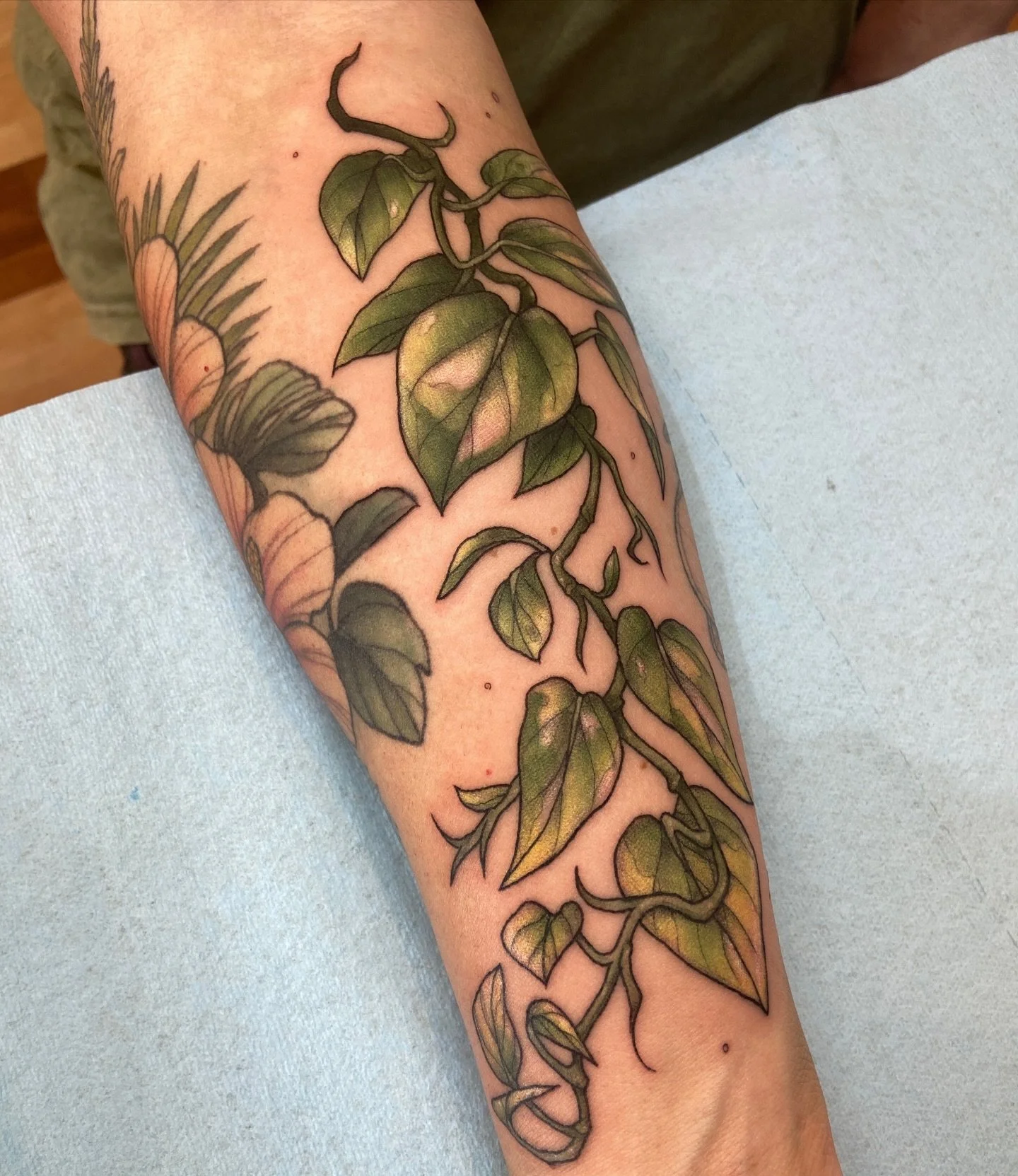 Pothos 🌿 gap filler by @dawncarrtattoos - Dawn&rsquo;s books open at the end of this month, email get to get on her booking list.
.
.
#colortattoo #pothostattoo #planttattoo #realismtattoo #illustrativetattoo