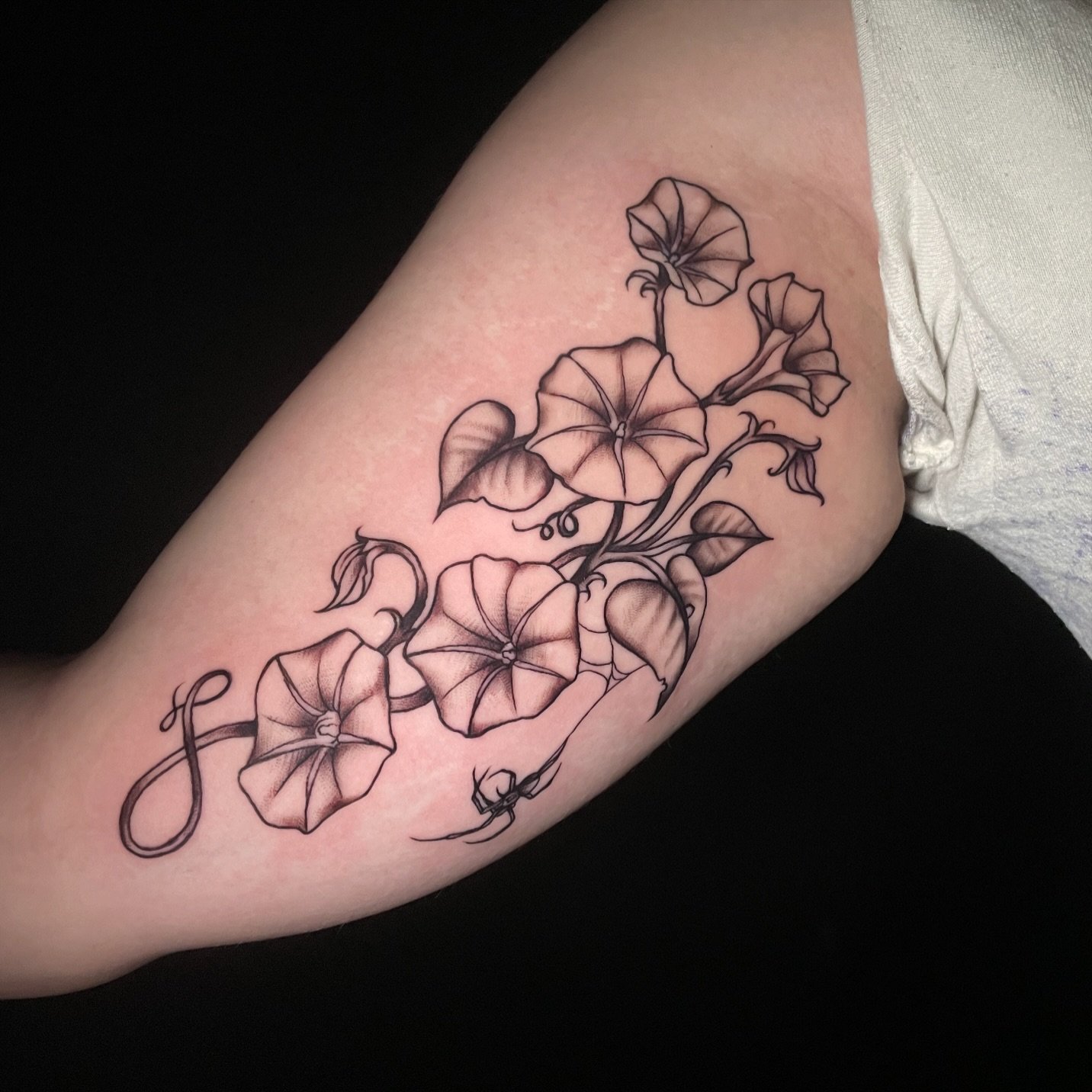 Morning glories 🌸 by @sensualbeasts.tattoo just in time for spring. Miranda&rsquo;s books are open for May/June